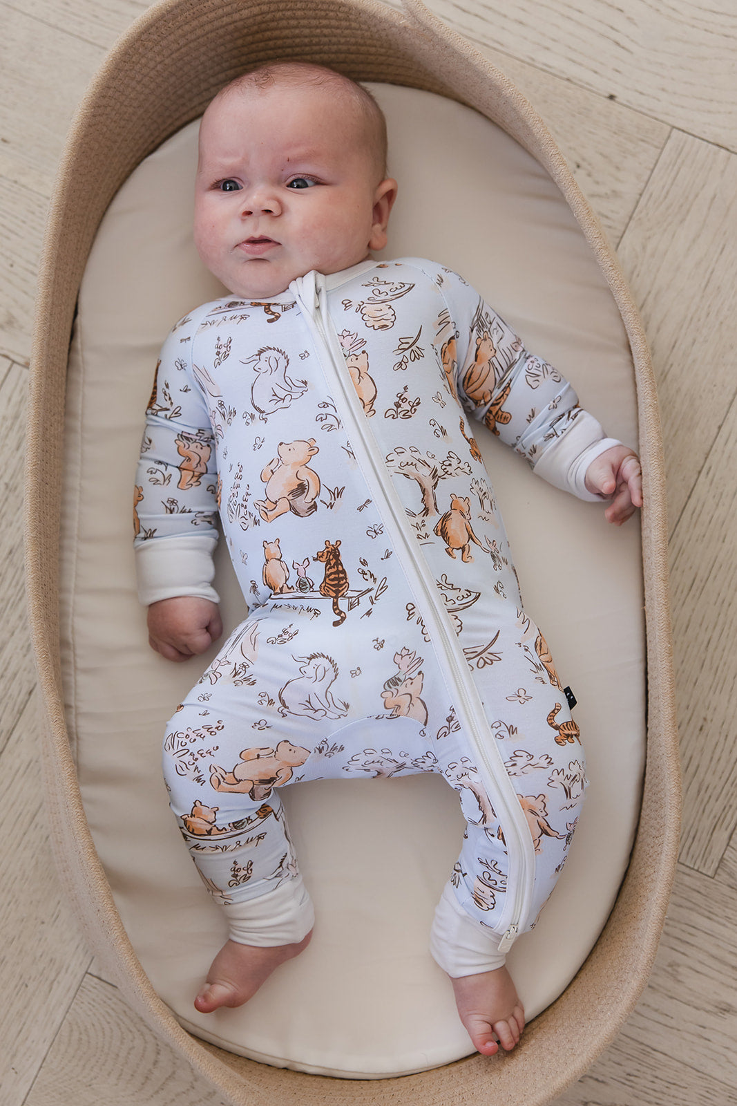 Silly Old Bear - Zippy