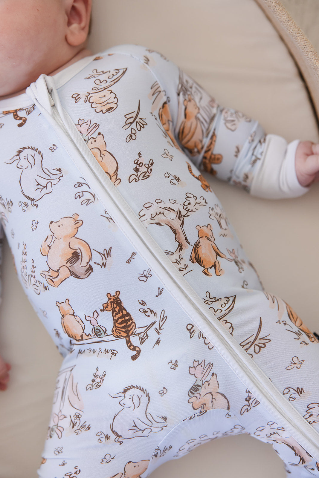 Silly Old Bear - Zippy