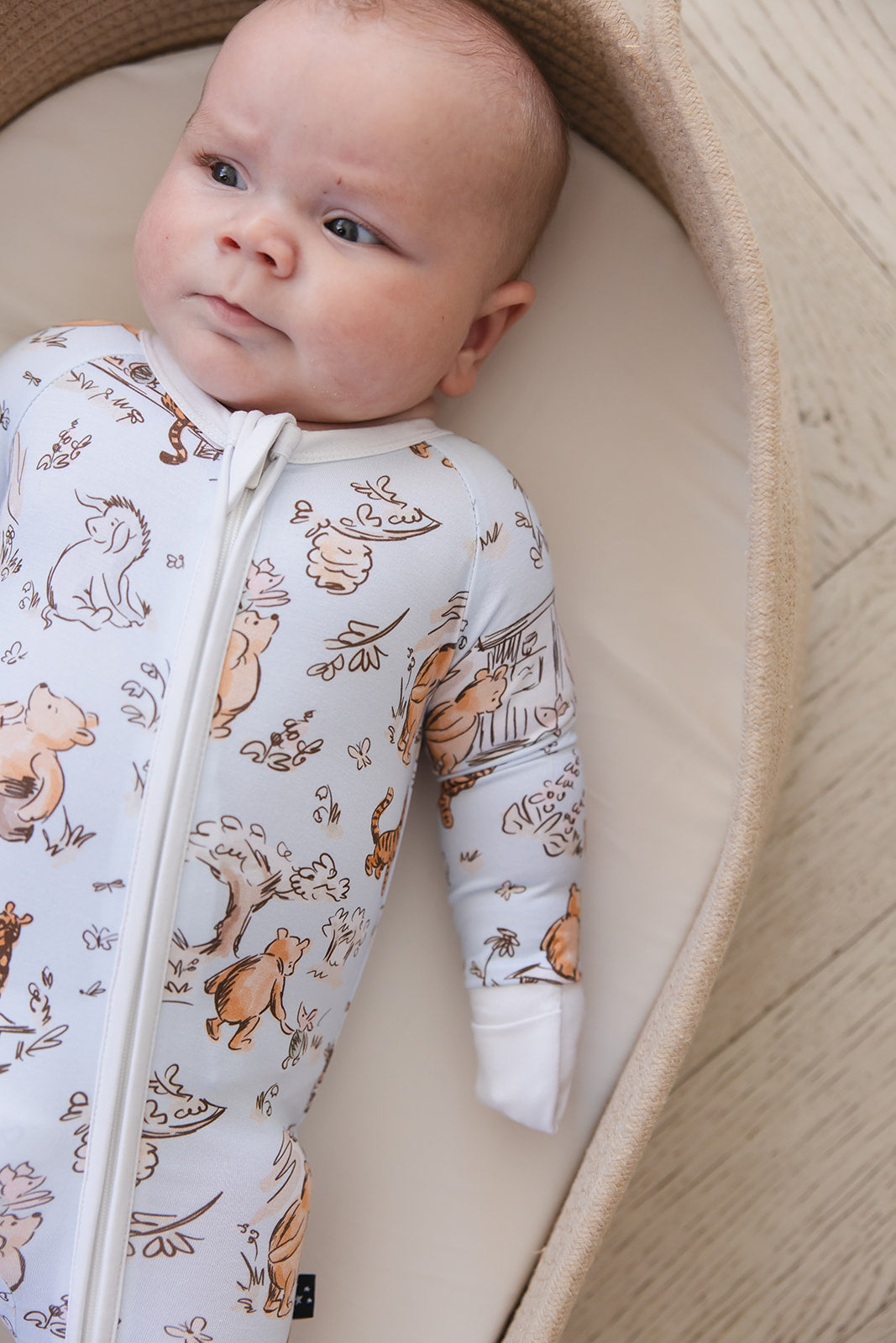 Silly Old Bear - Zippy