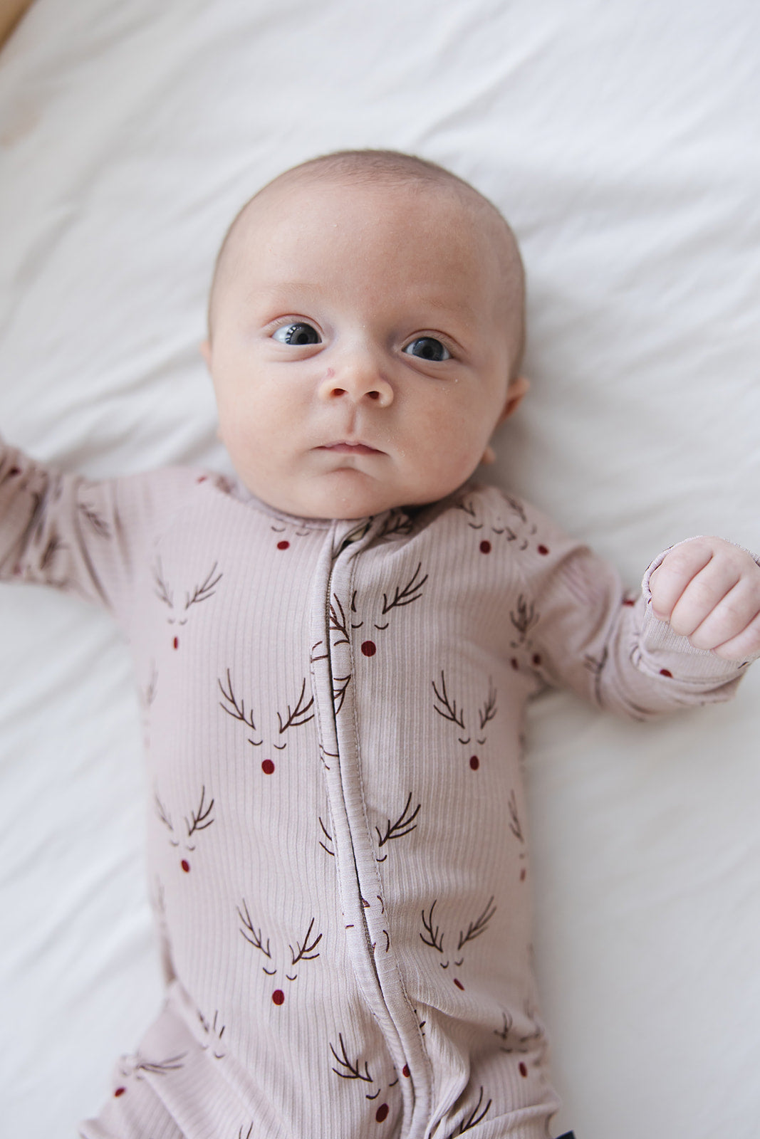 Reindeer Ridge (ribbed) - Zippy