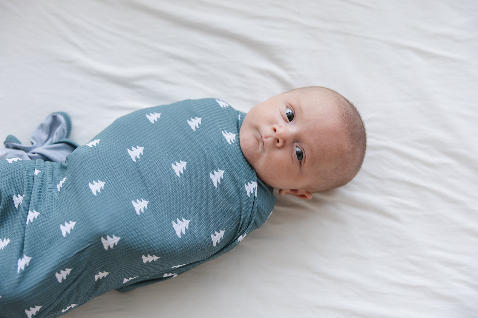 Northern Pine (ribbed) - Lightweight Blanket