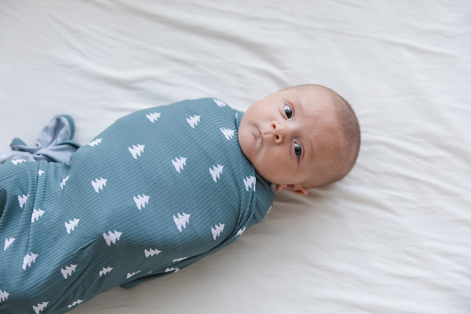 Northern Pine (ribbed) - Lightweight Blanket