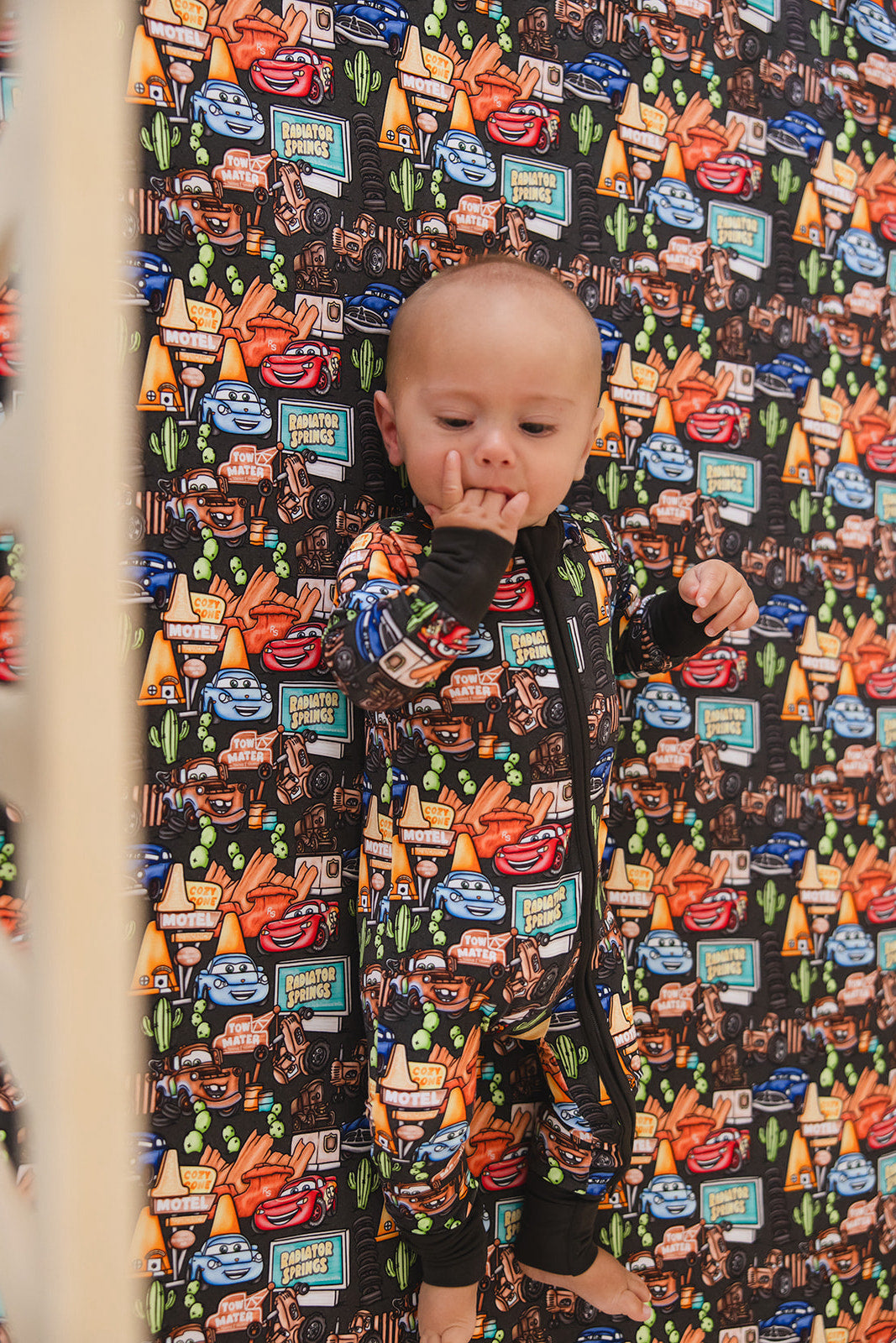 Cozy Cone Adventures - Zippy