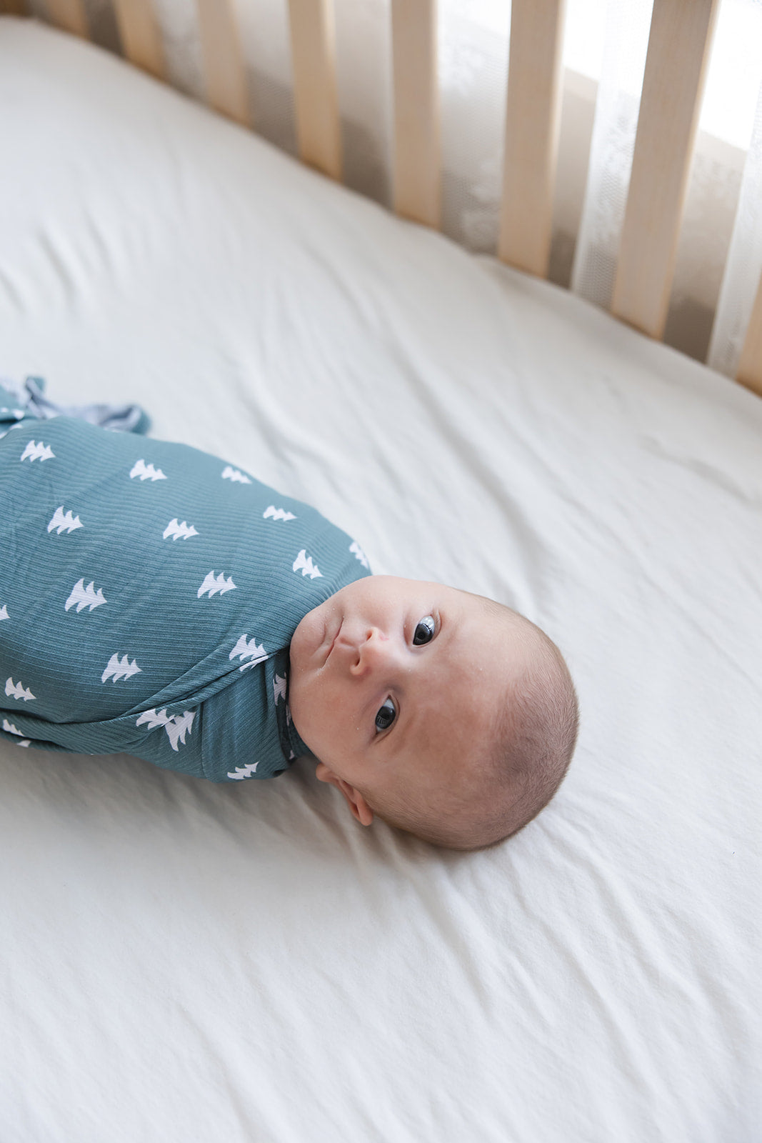 Northern Pine (ribbed) - Lightweight Blanket