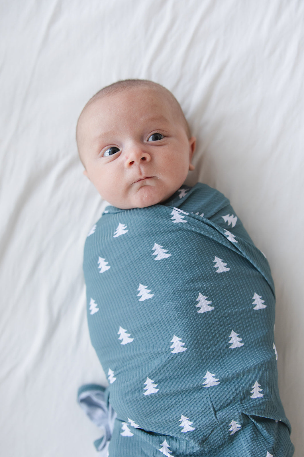 Northern Pine (ribbed) - Lightweight Blanket