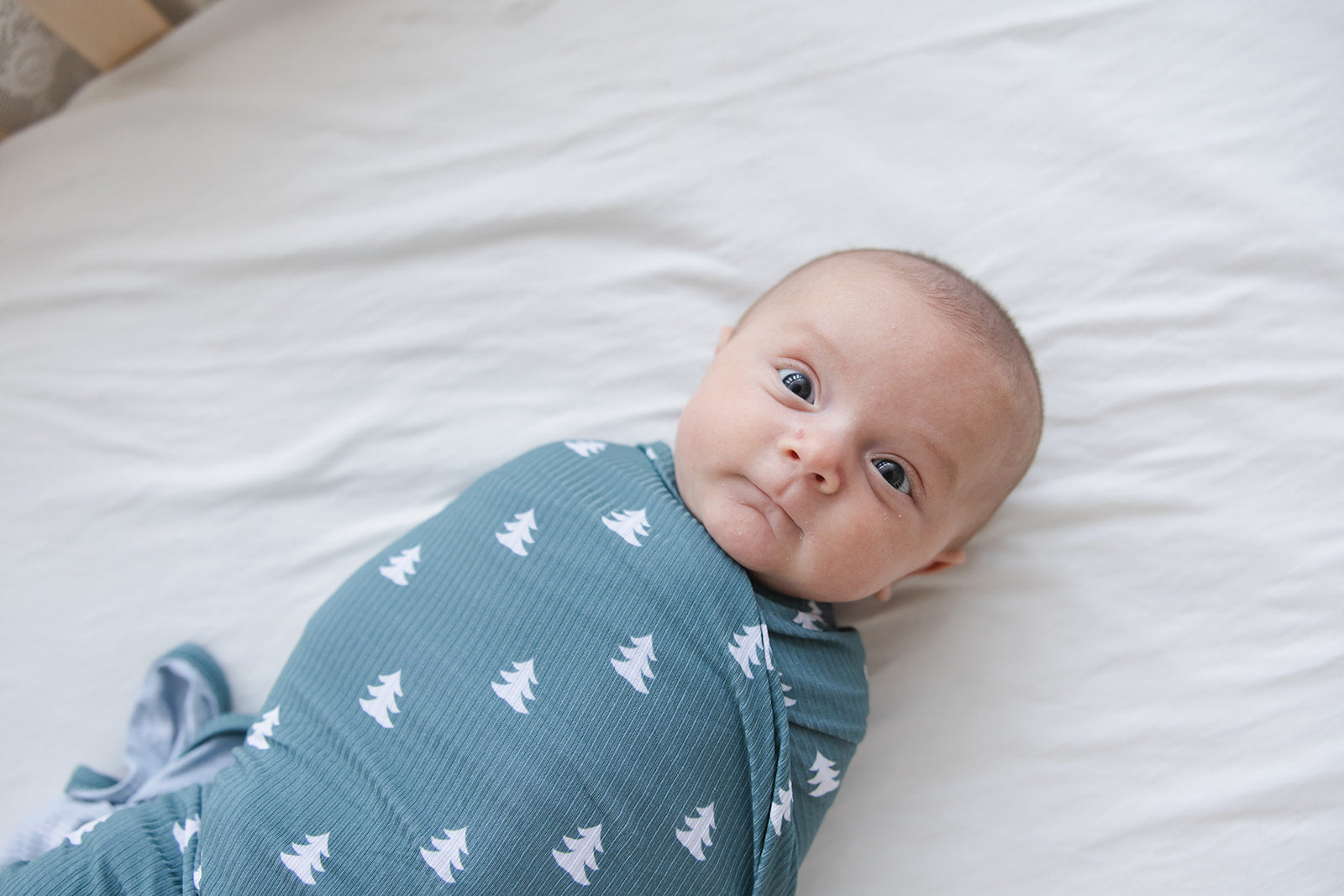 Northern Pine (ribbed) - Lightweight Blanket