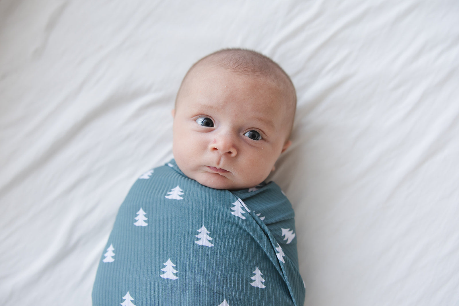 Northern Pine (ribbed) - Lightweight Blanket