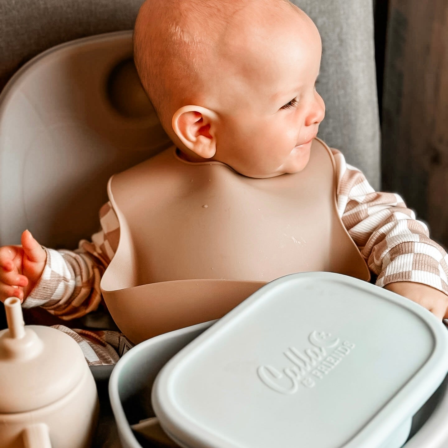 Hayden Bento Box - Pine