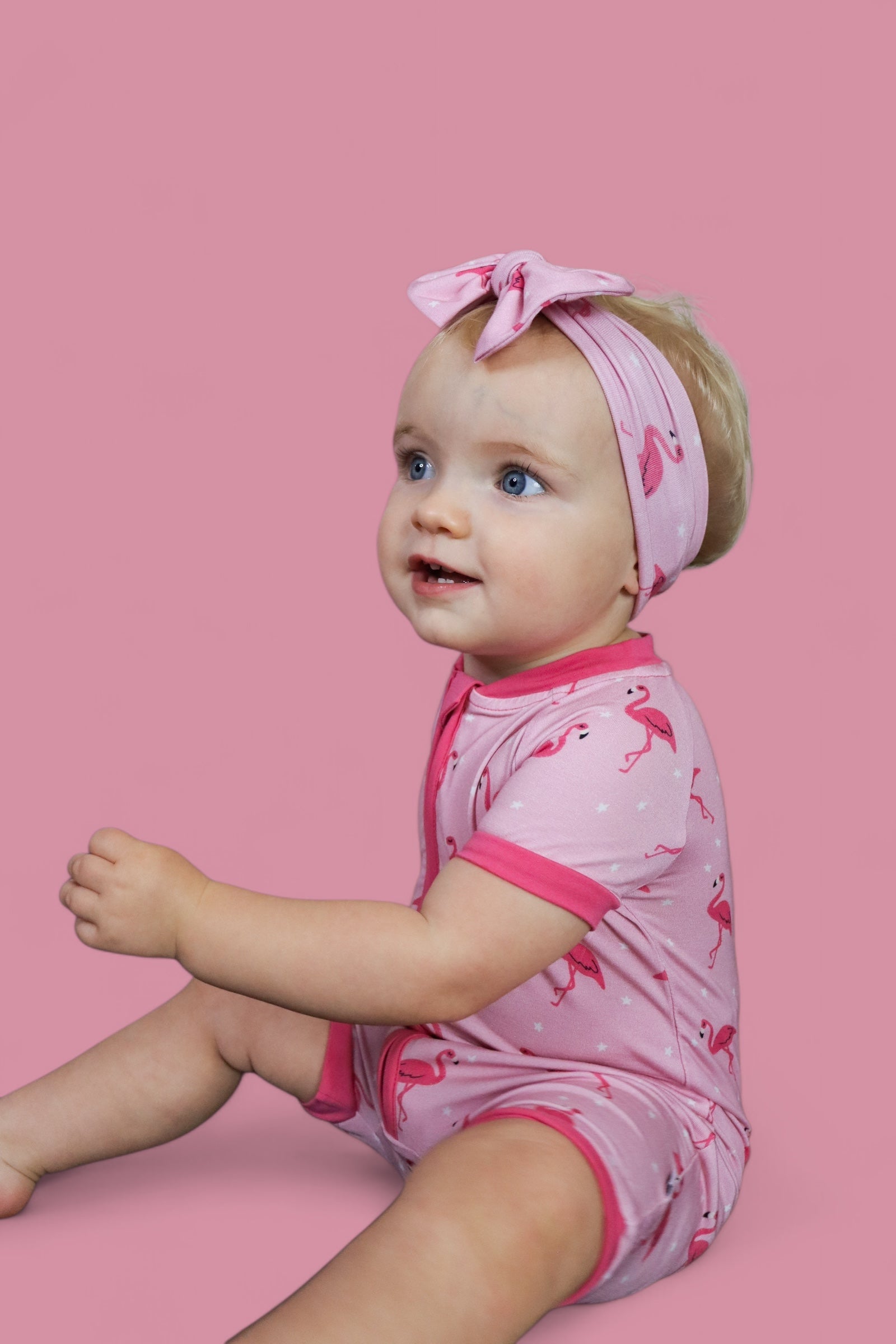 Flocking Flamingos Dream Shortie