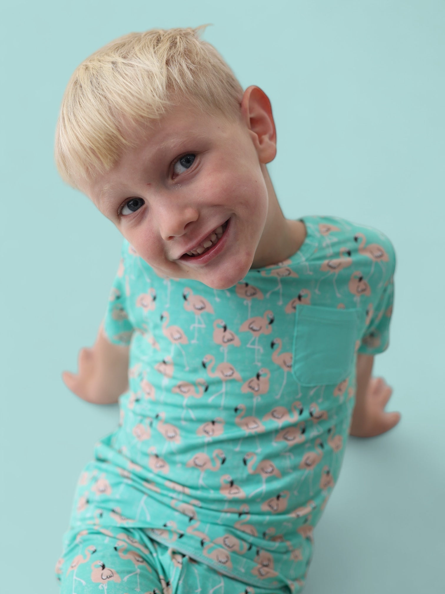 Mingling Mingos Dream Pocket Tee