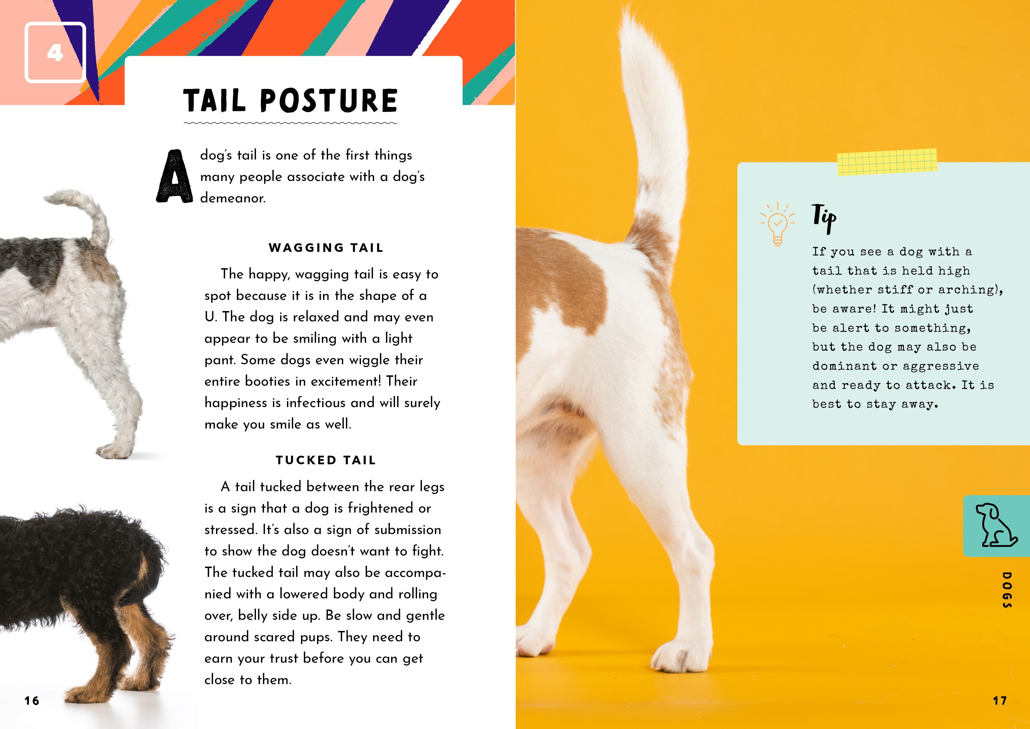 How To Speak Animal