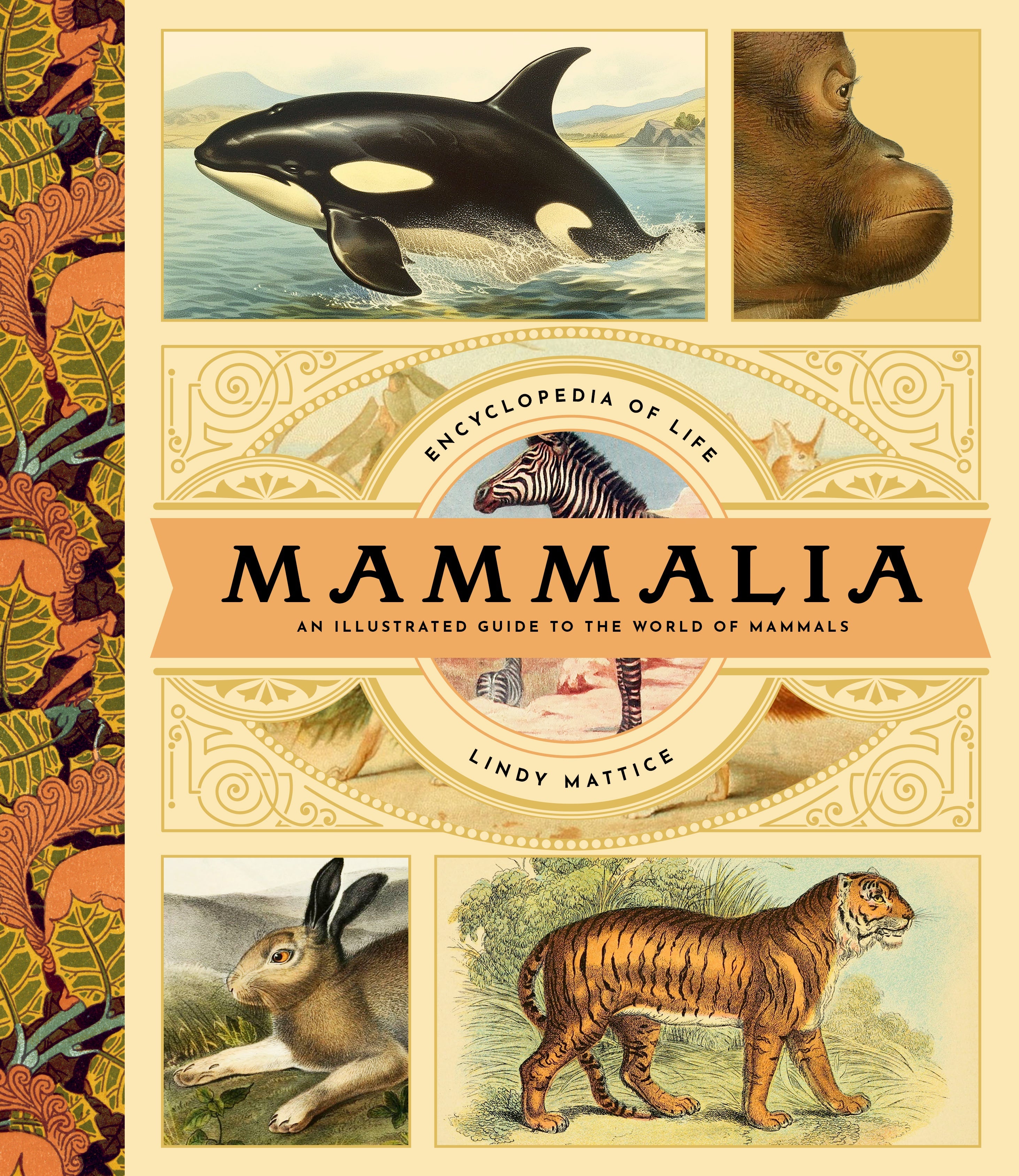 Mammalia