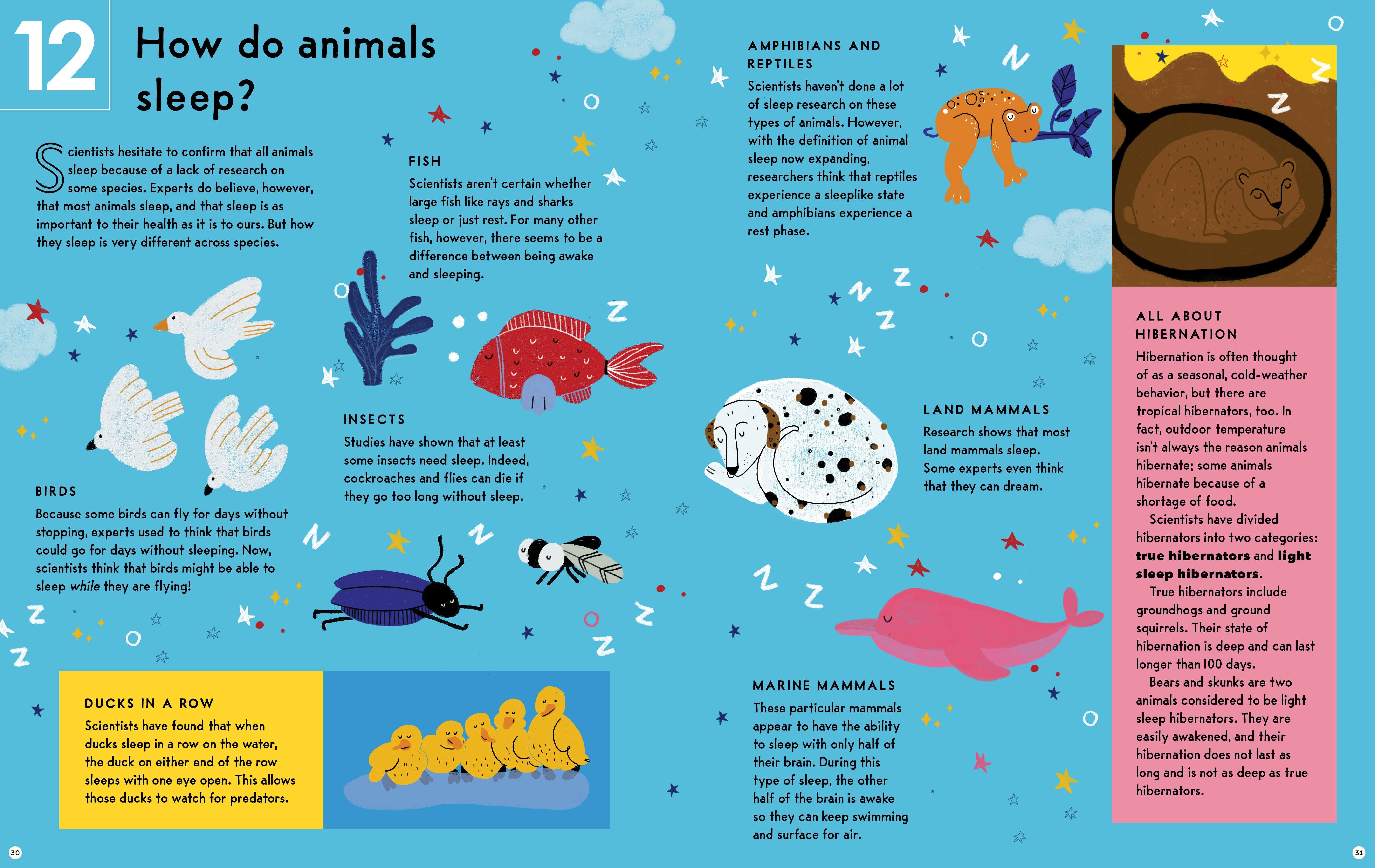 Sleep: A Kid's Guide To The Science Of Slumber