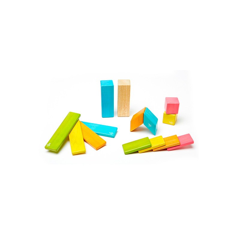 14-piece Set <br>magnetic Wooden Blocks <br>tegu Classics