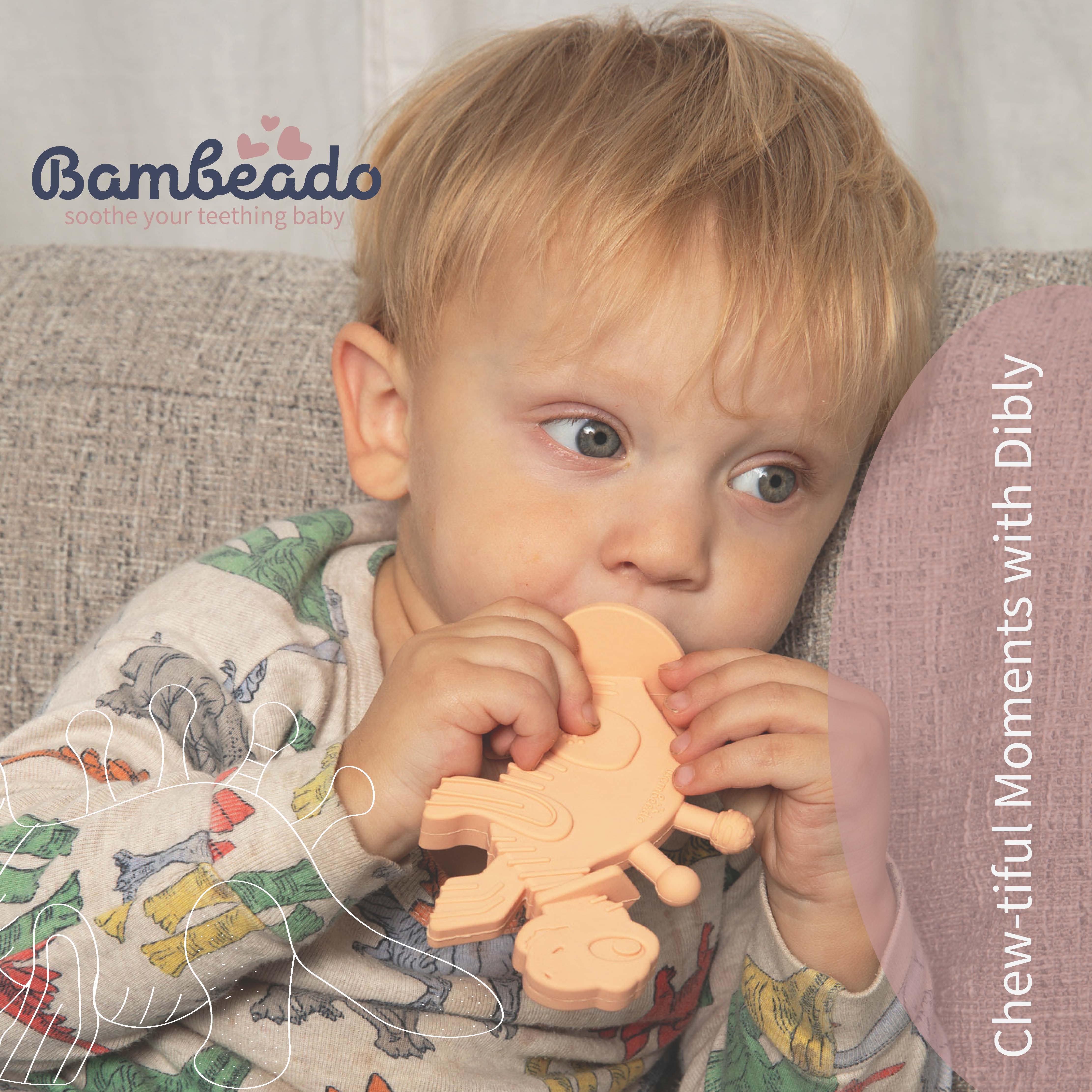 Dibly - Pink - Baltic Amber & Natural Rubber Dinosaur Teether With Toothbrush Tail