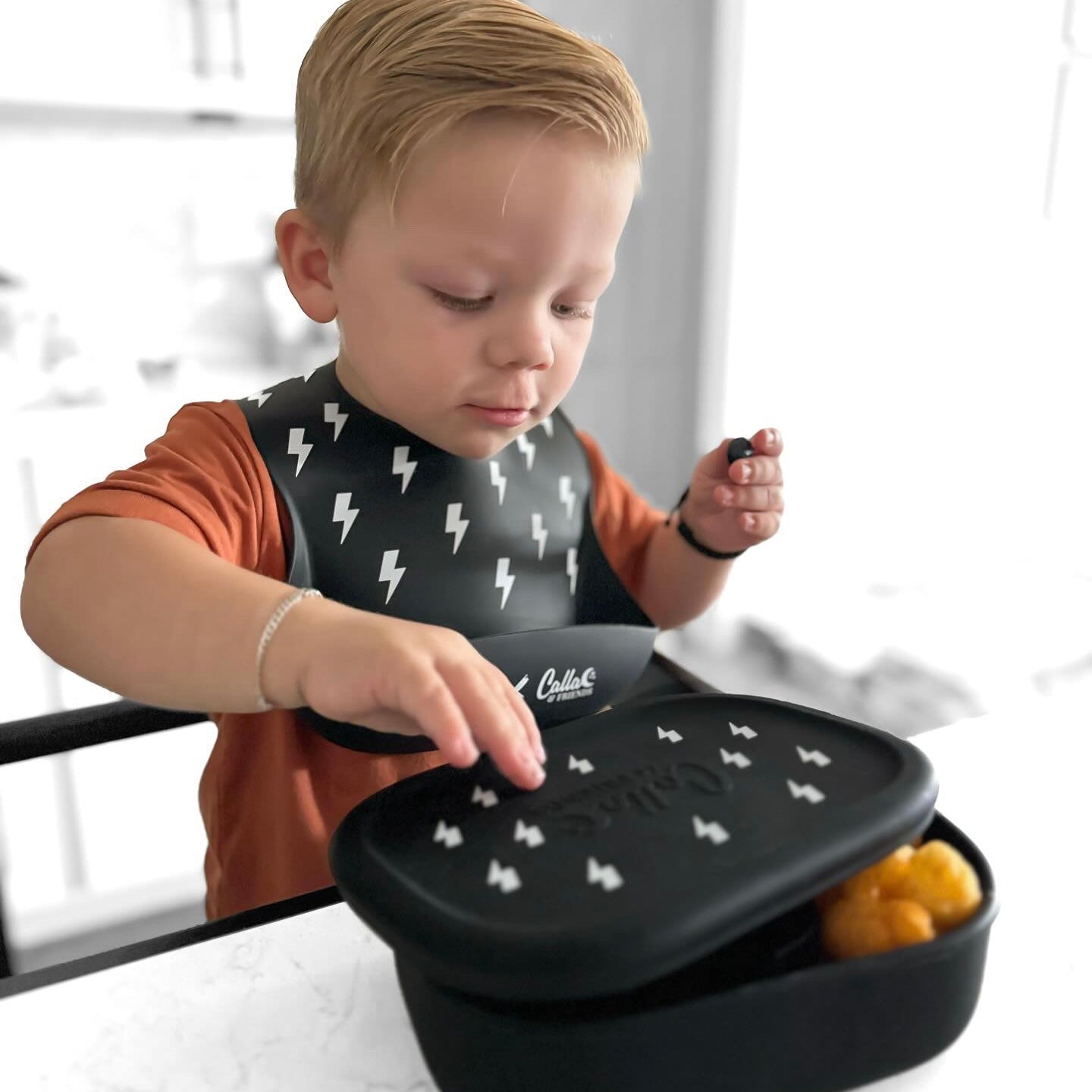 Bolt Hayden Bento Box