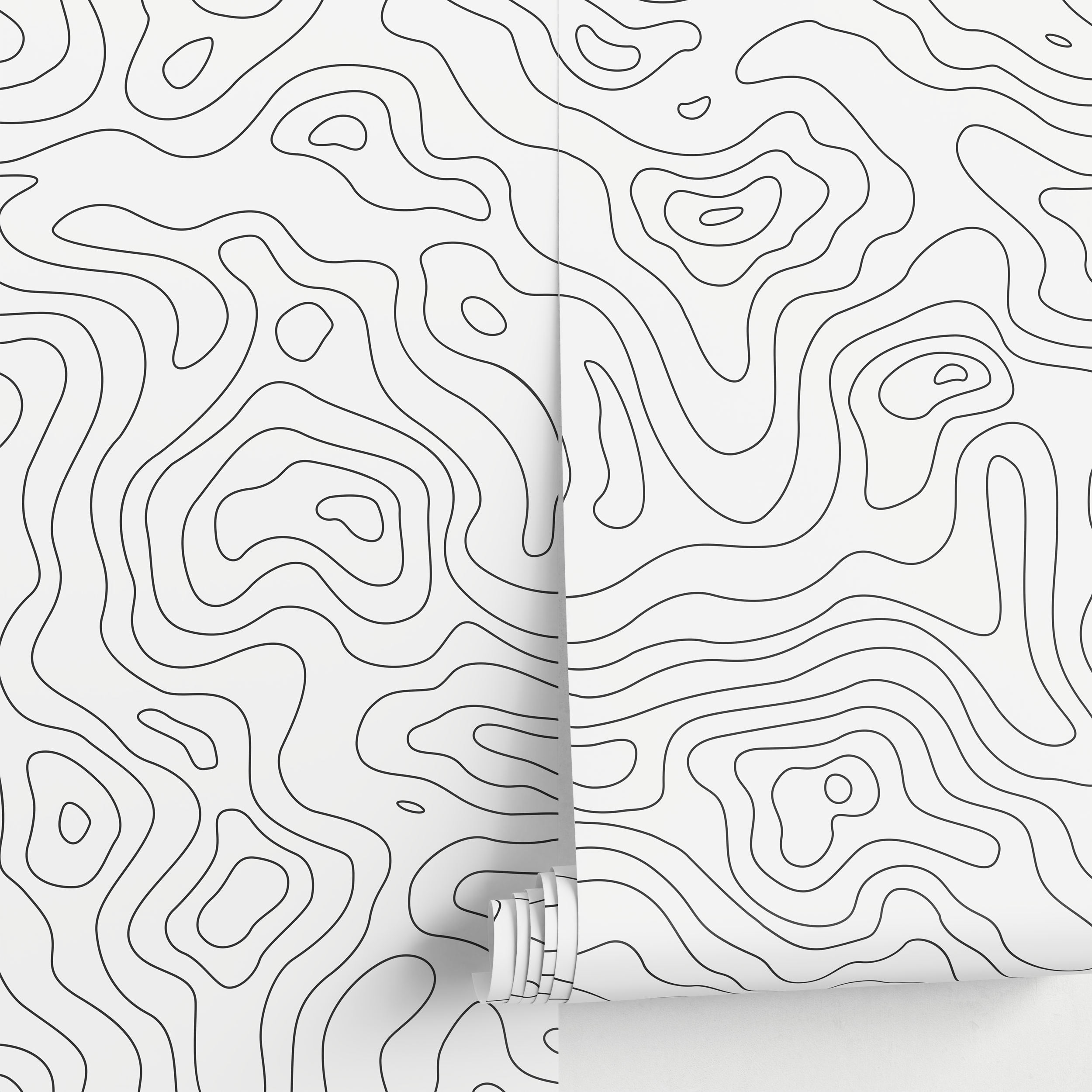 Abstract Wallpaper With Topographic Contour Lines In Black And White - A420