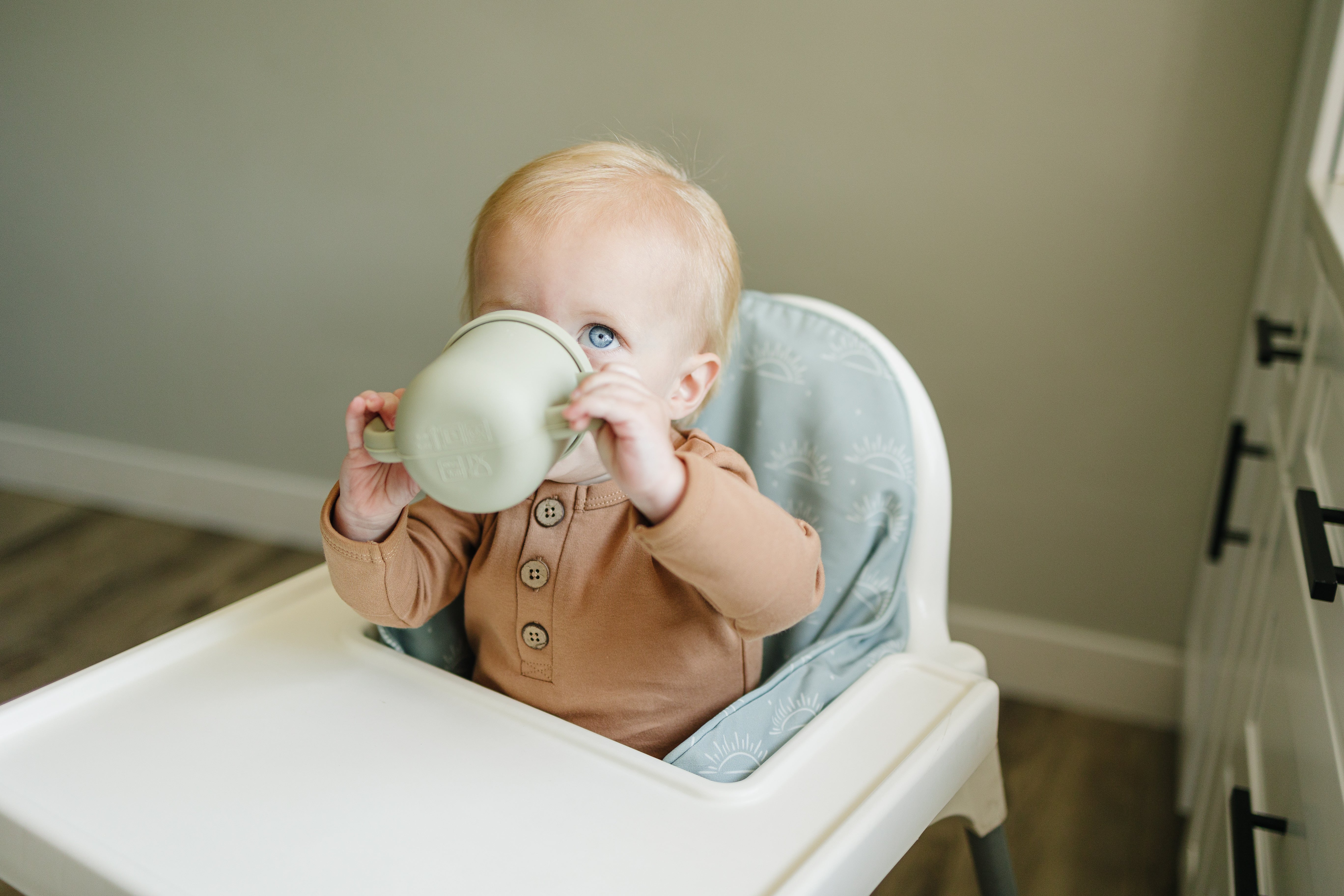 Sage Suns Ikea Antilop Cushion Cover