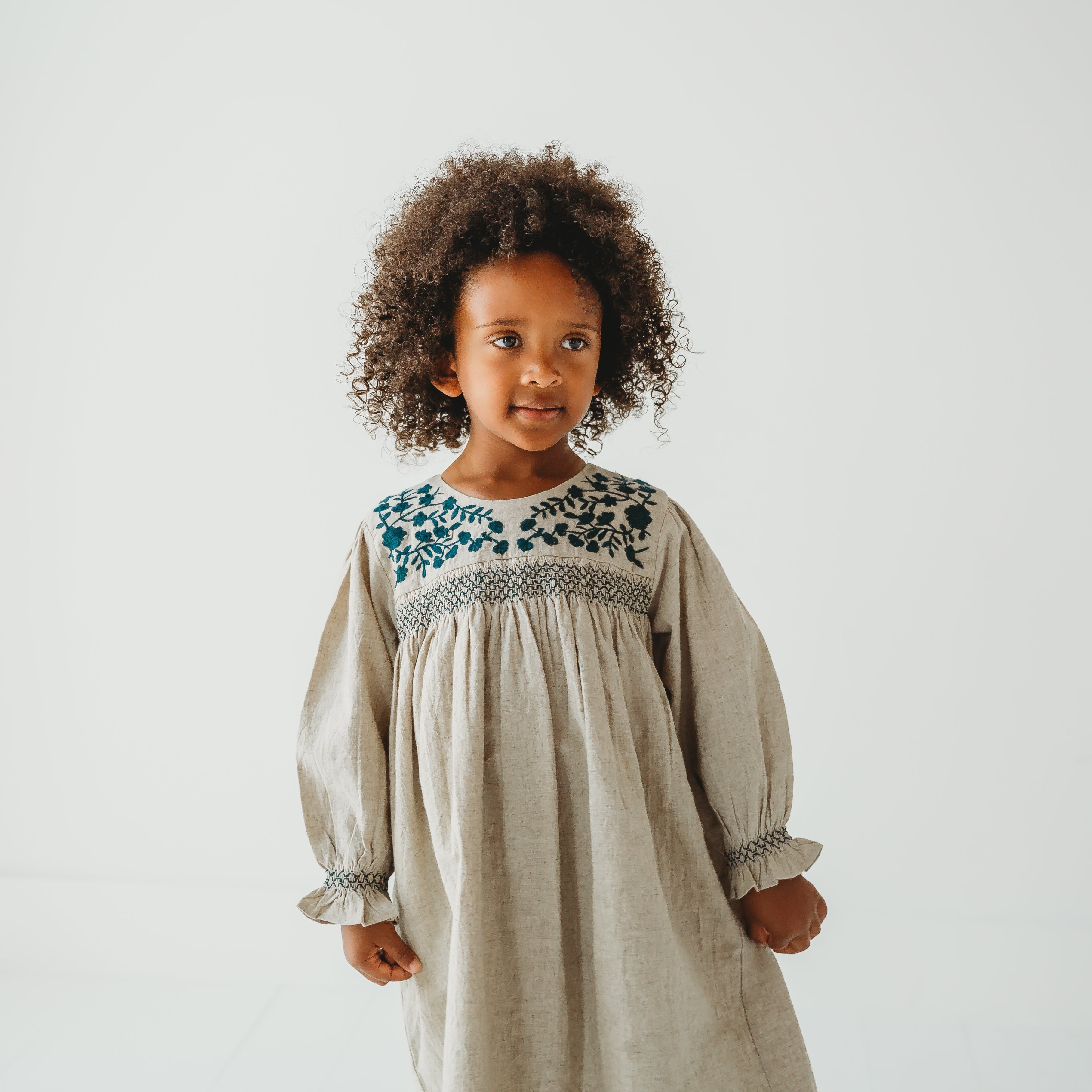 Meadow Breeze Linen Embroidered Oasis dress