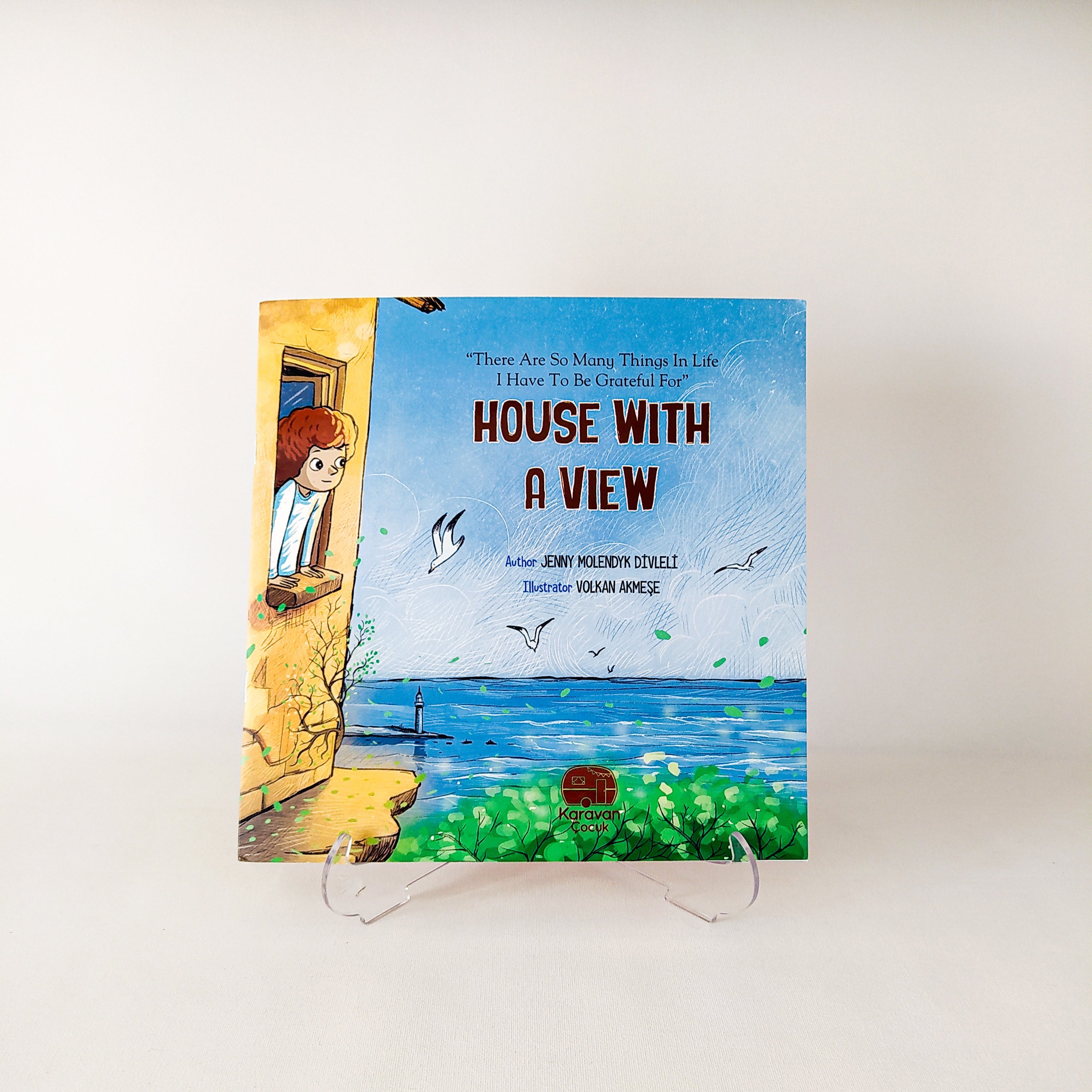 House With A View Book