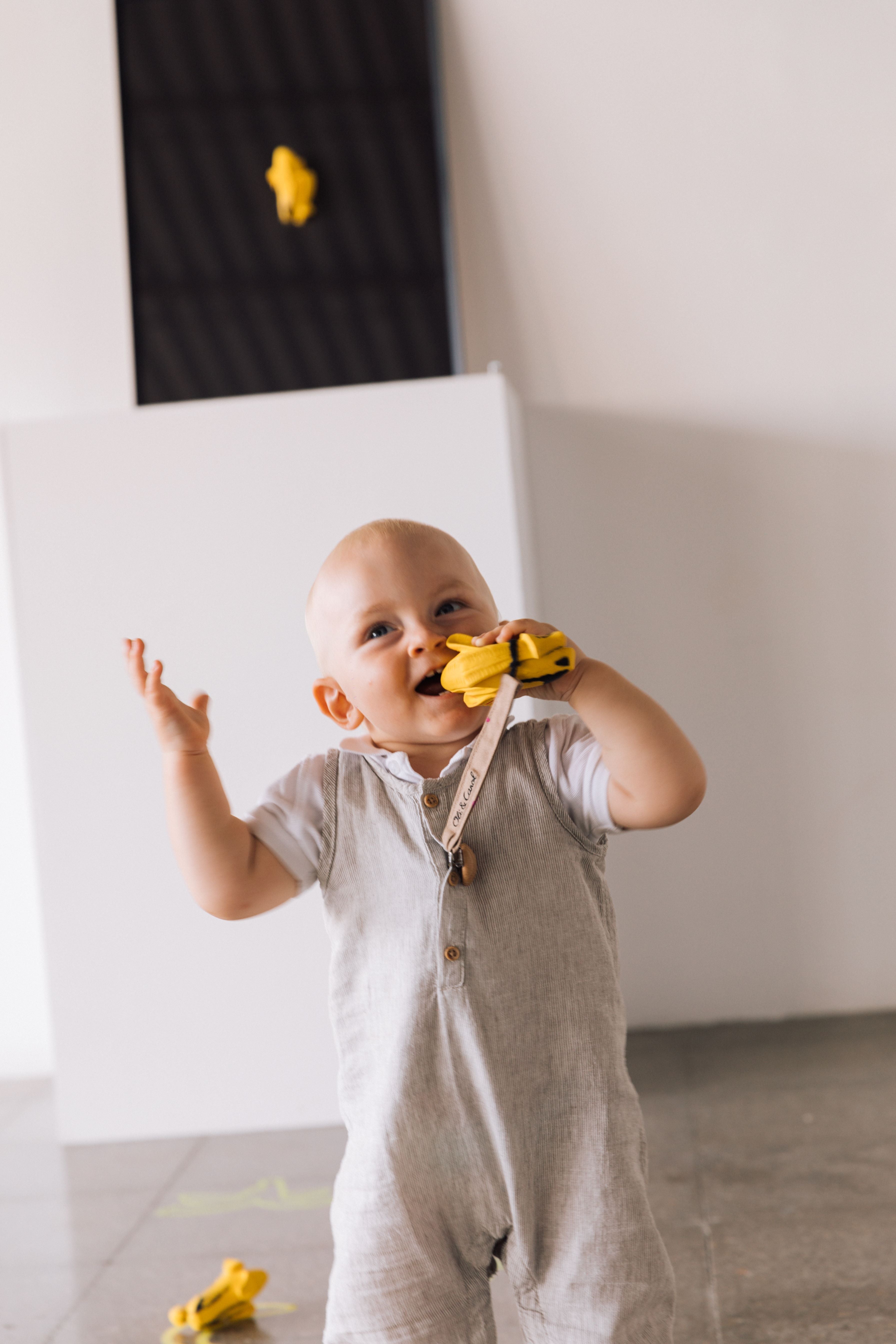 Ana Banana Pop Art Limited Edition