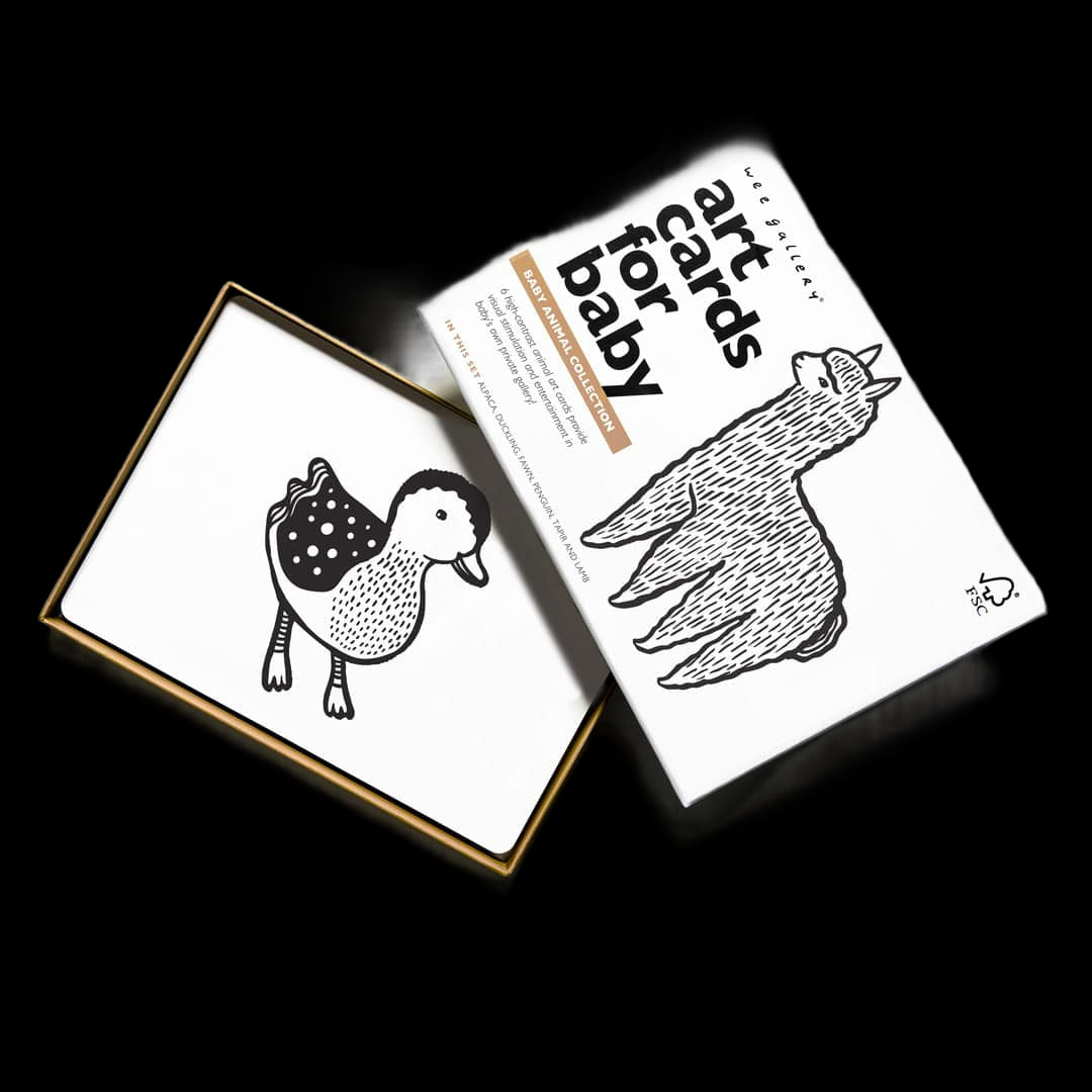 Art Cards For Baby - Baby Animals Collection