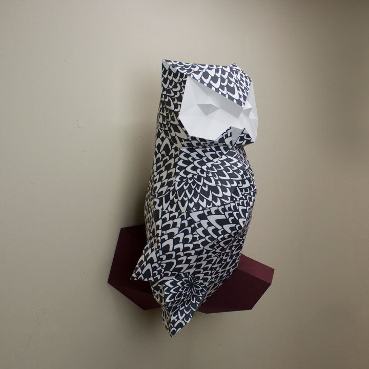 James The Feathered Owl | Diy Paper Craft Animal Kit