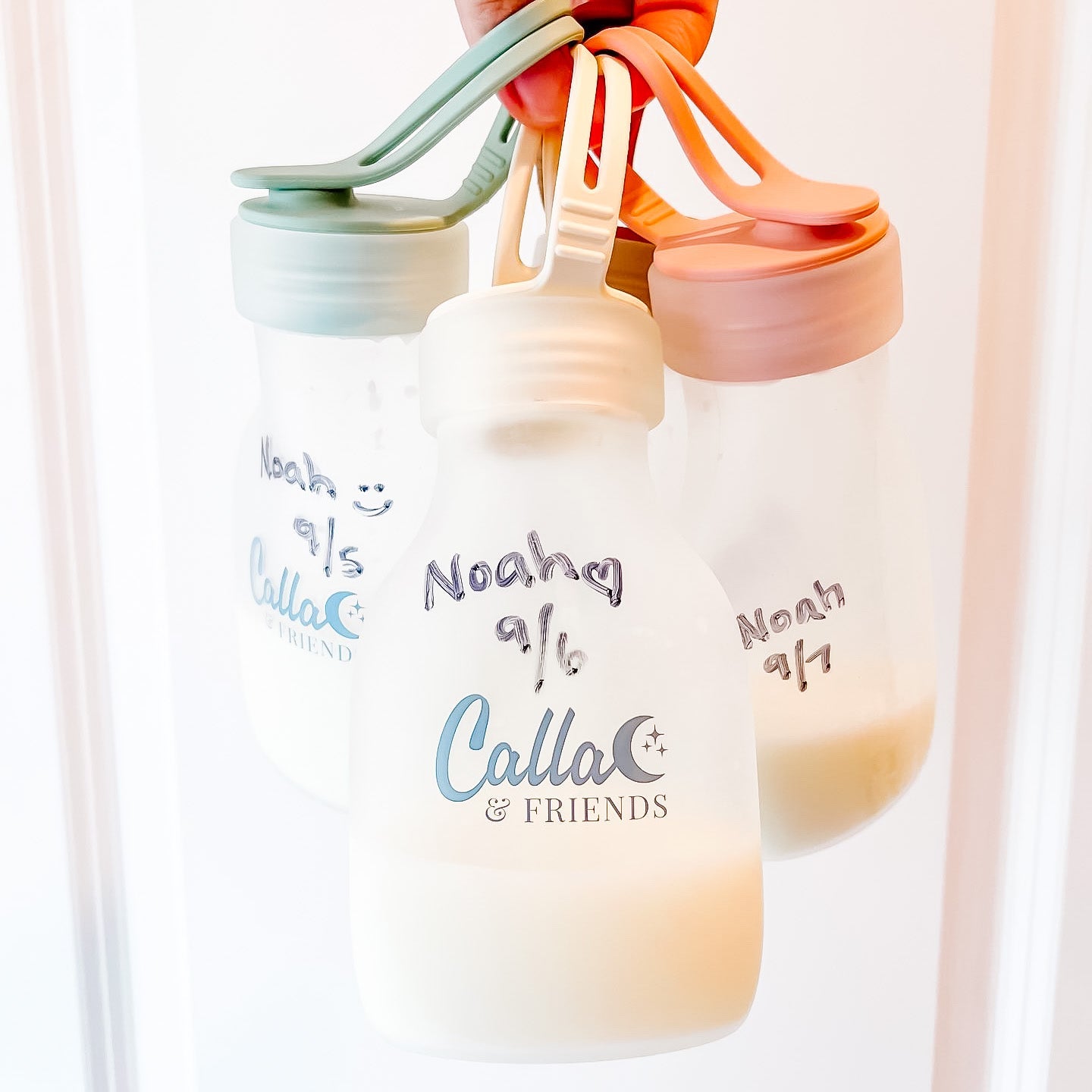 Nourishing Nibbler Reusable Milk & Purée Bags