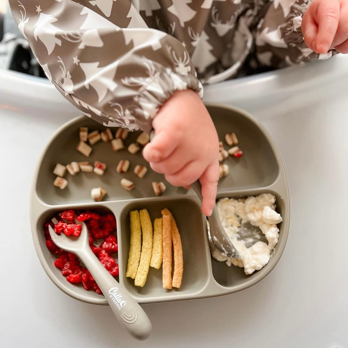 4 Section Suction Plate