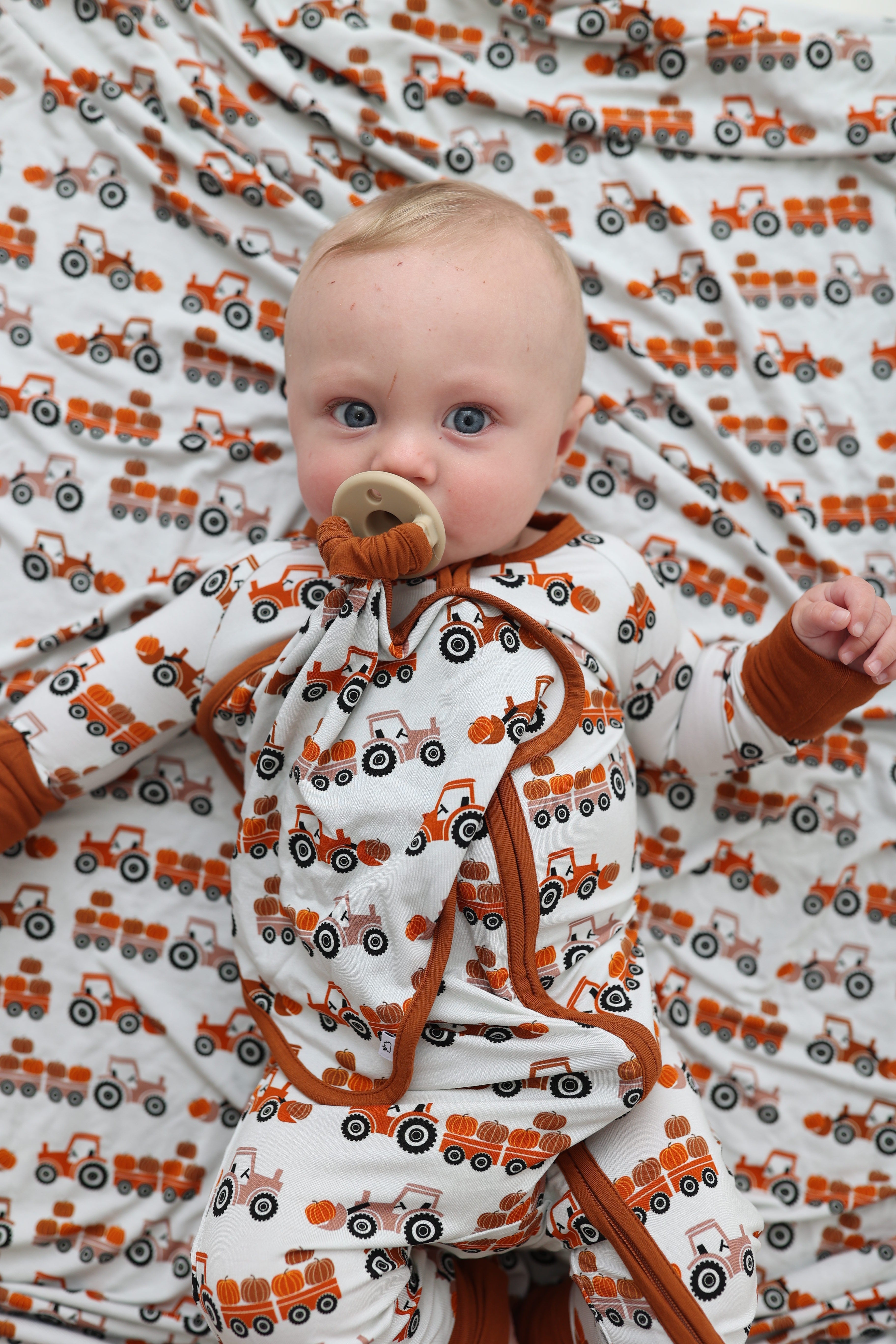 Hay Pumpkin Dream Lovey