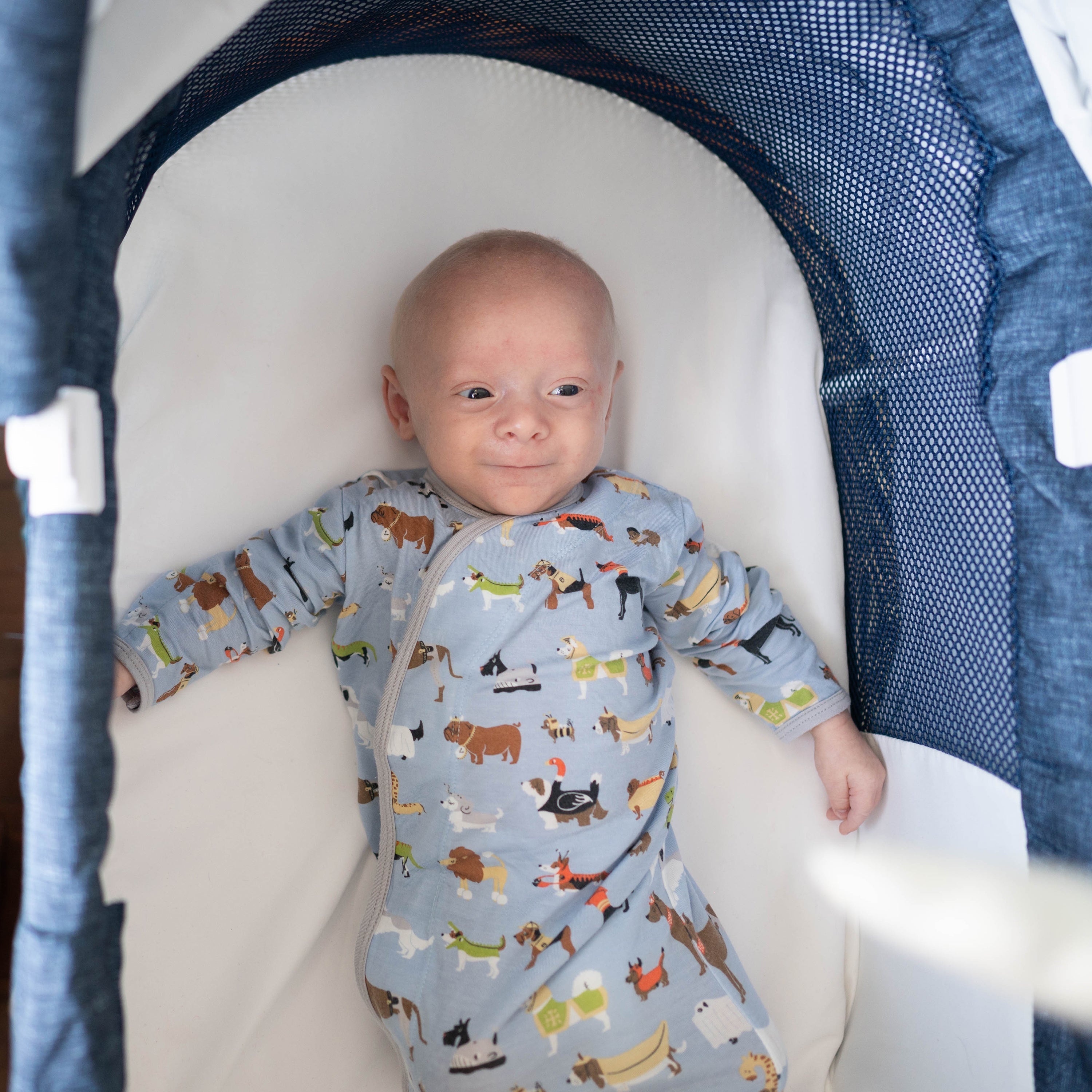 Trubliss Sweetli Nurture Bassinet