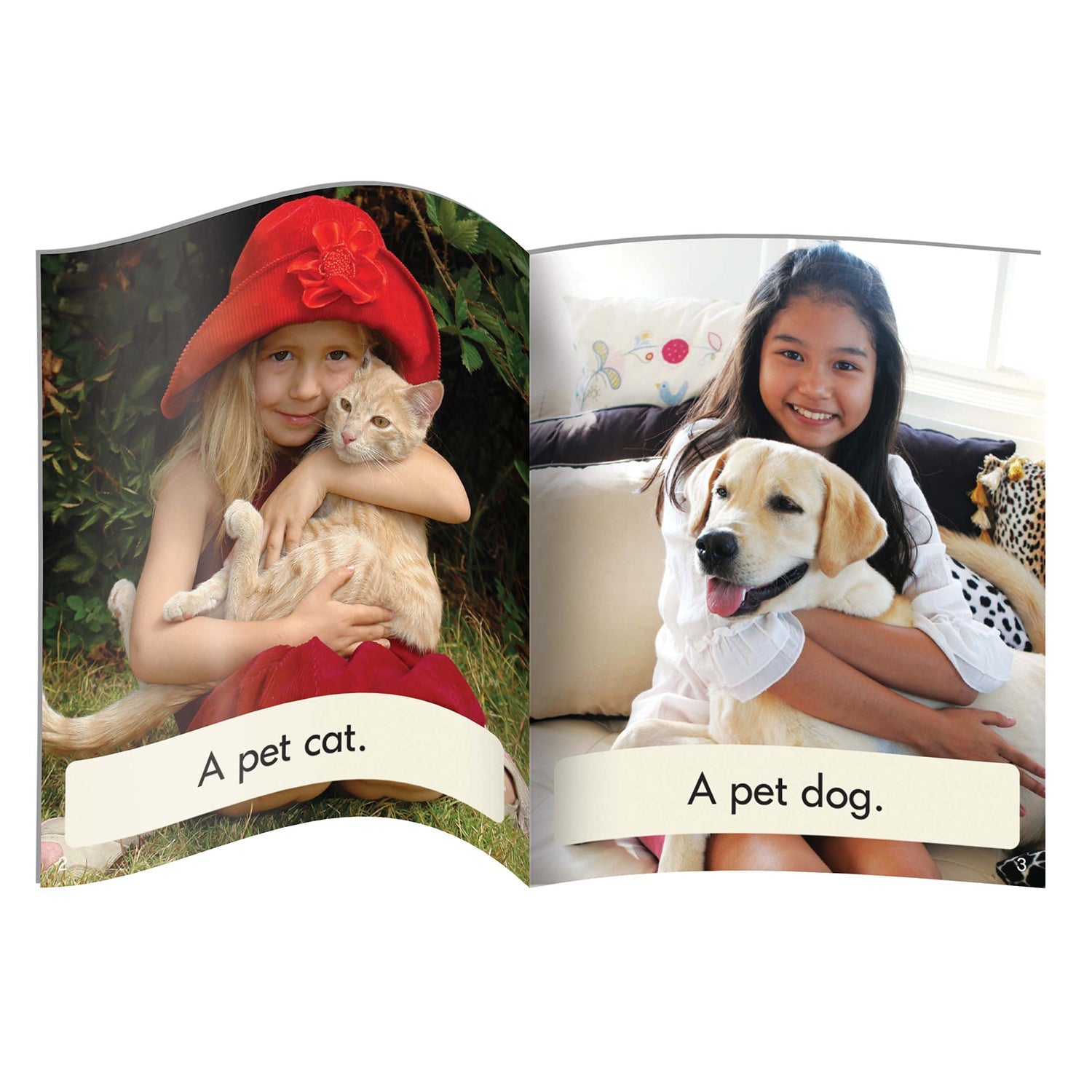 Science Decodables Phase 2 Non-fiction