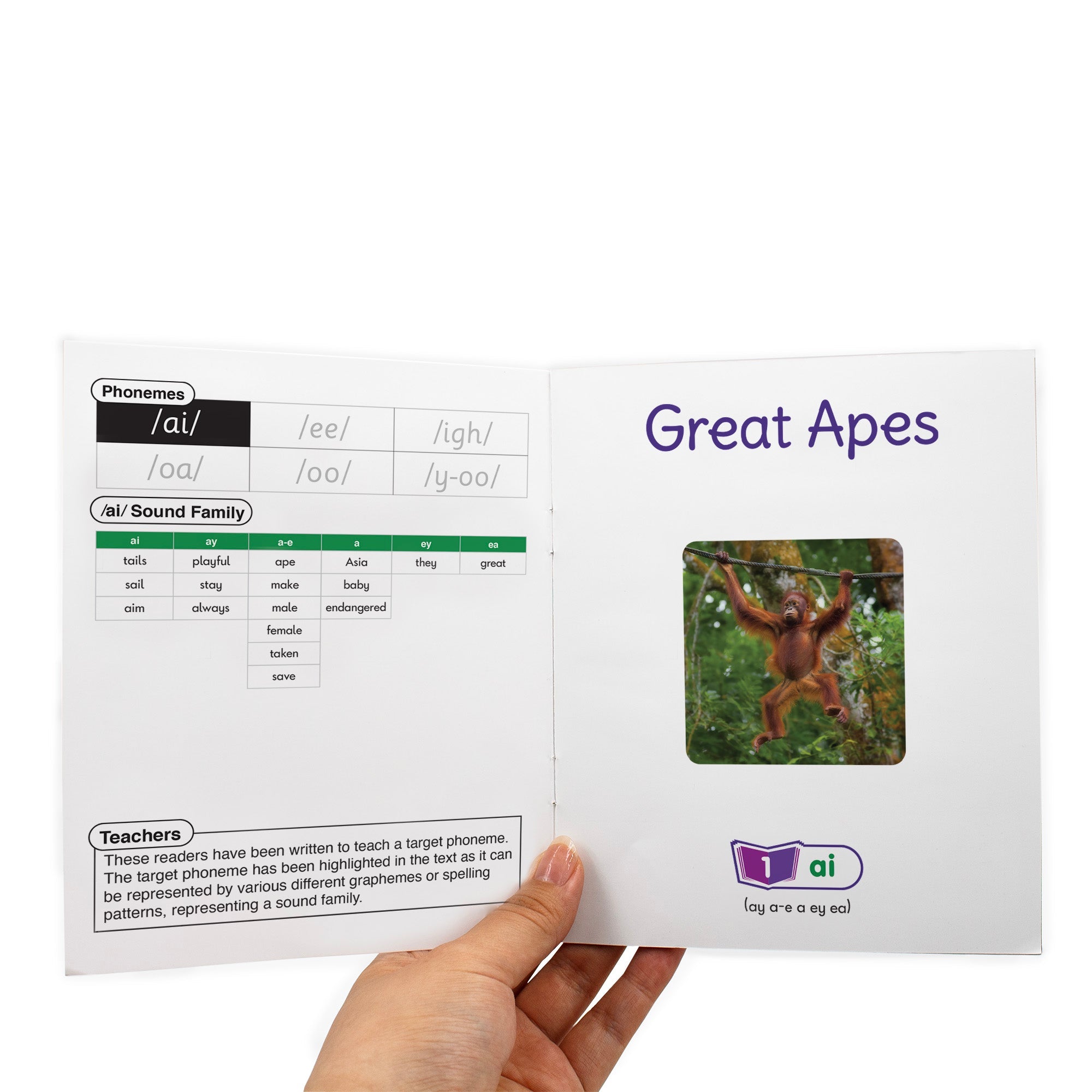 Sound Families Long Vowels Non-fiction Phase 5.5