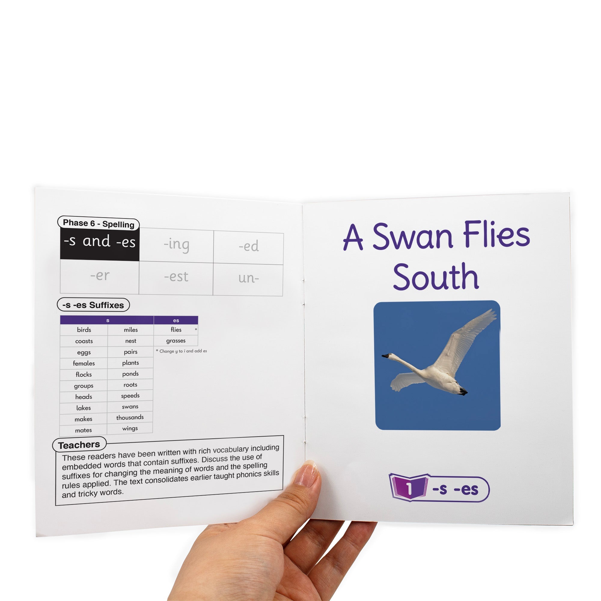 Fix Its Suffixes Non-fiction Phase 6