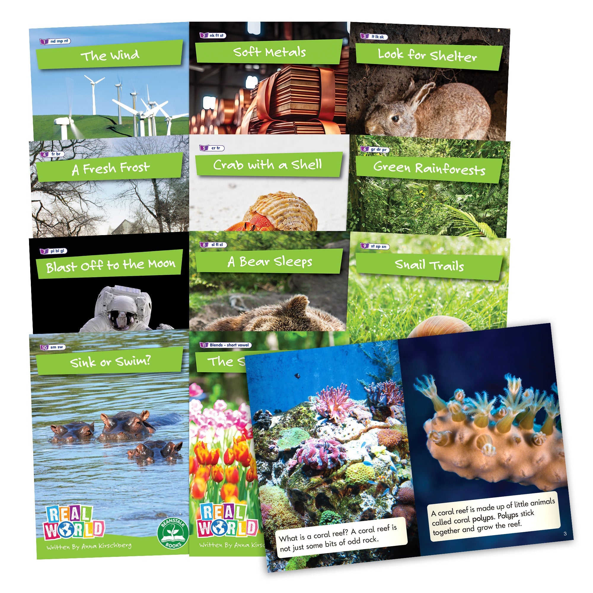 Real World Non-fiction Hi-lo Decodables Phase 4 - 6 Pack