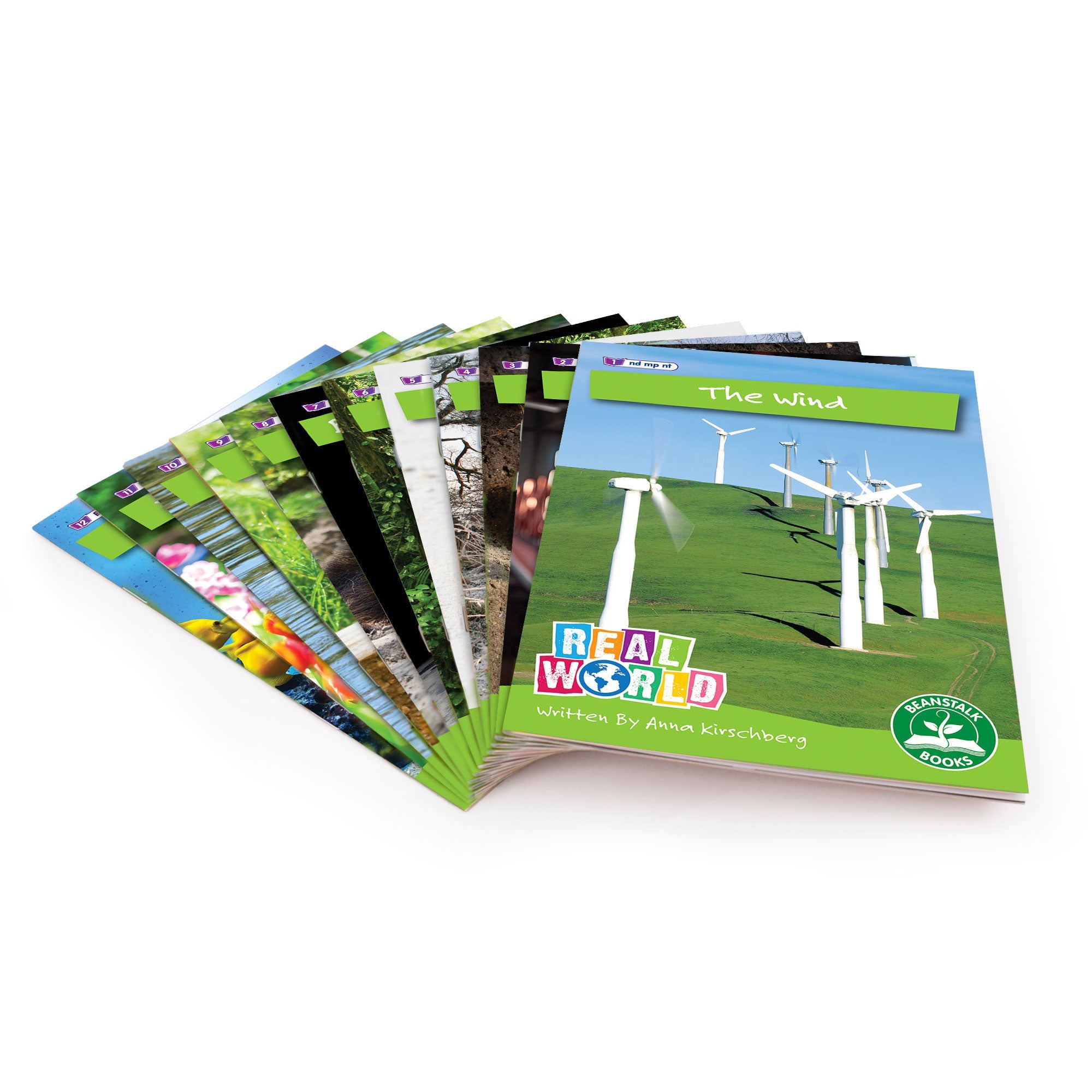 Real World Non-fiction Hi-lo Decodables Phase 4 - 6 Pack