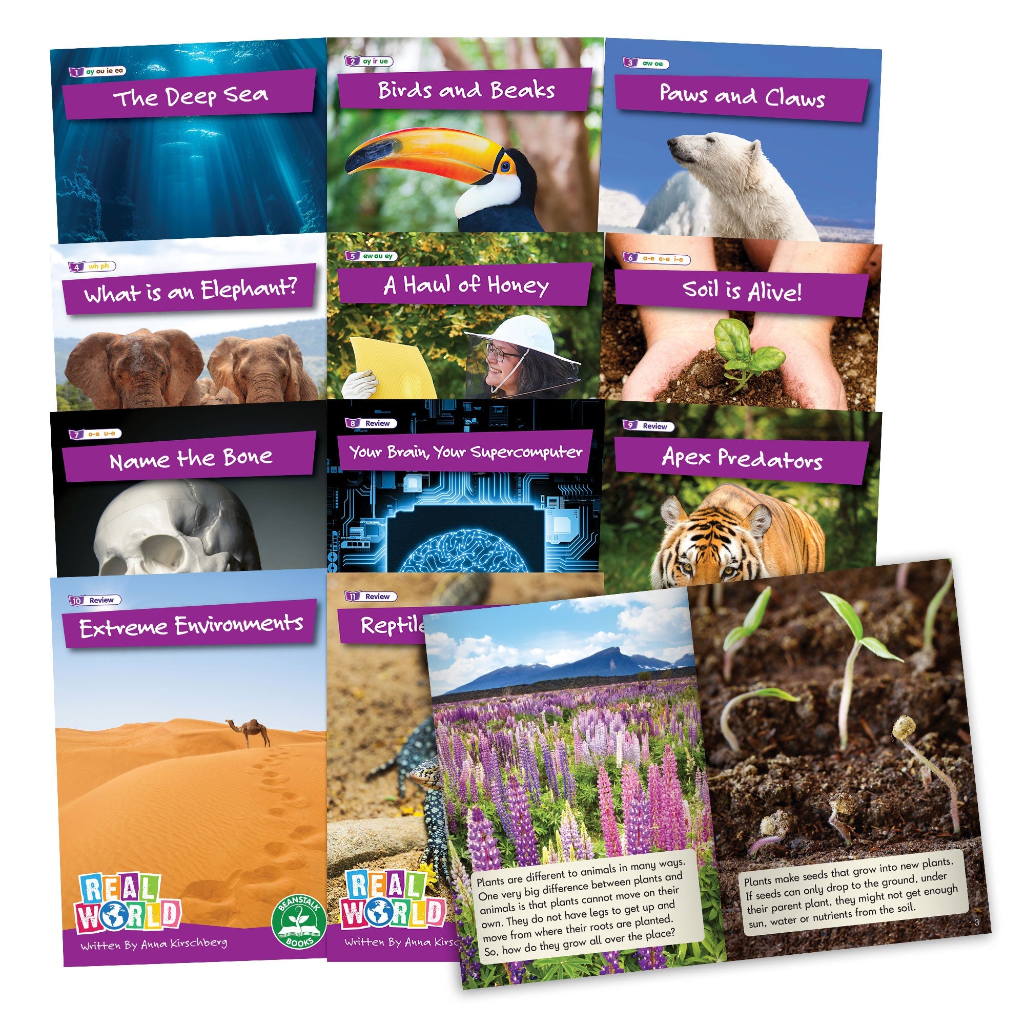 Real World Non-fiction Hi-lo Decodables Phase 5 - 6 Pack