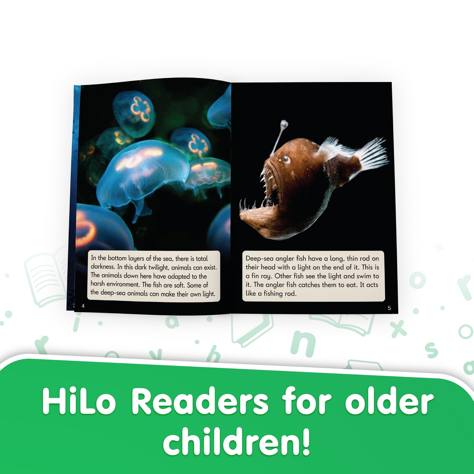 Real World Non-fiction Hi-lo Decodables Boxed Set