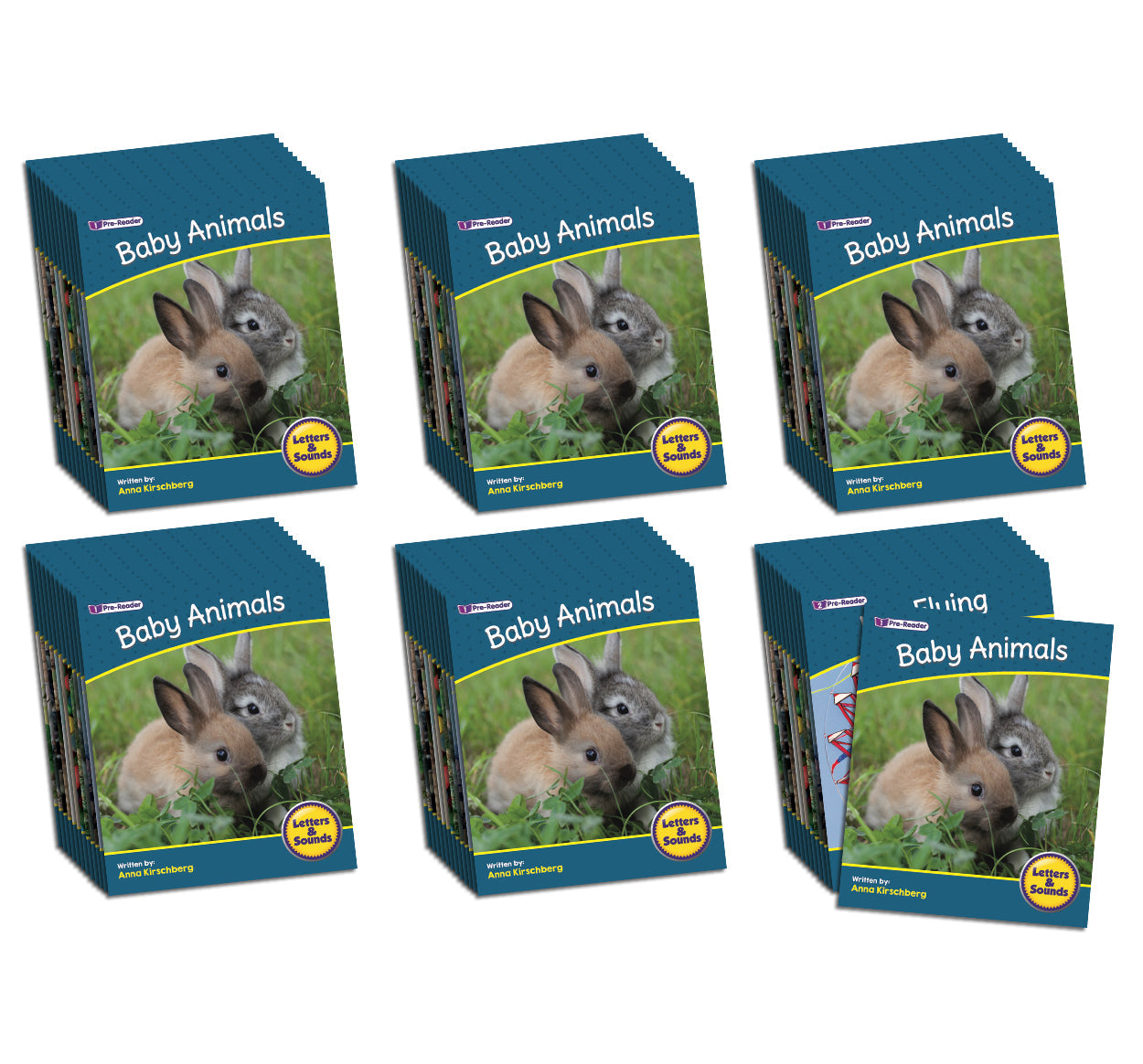 Letters & Sounds Phase 1 Set 2 Non-fiction - 6 Pack