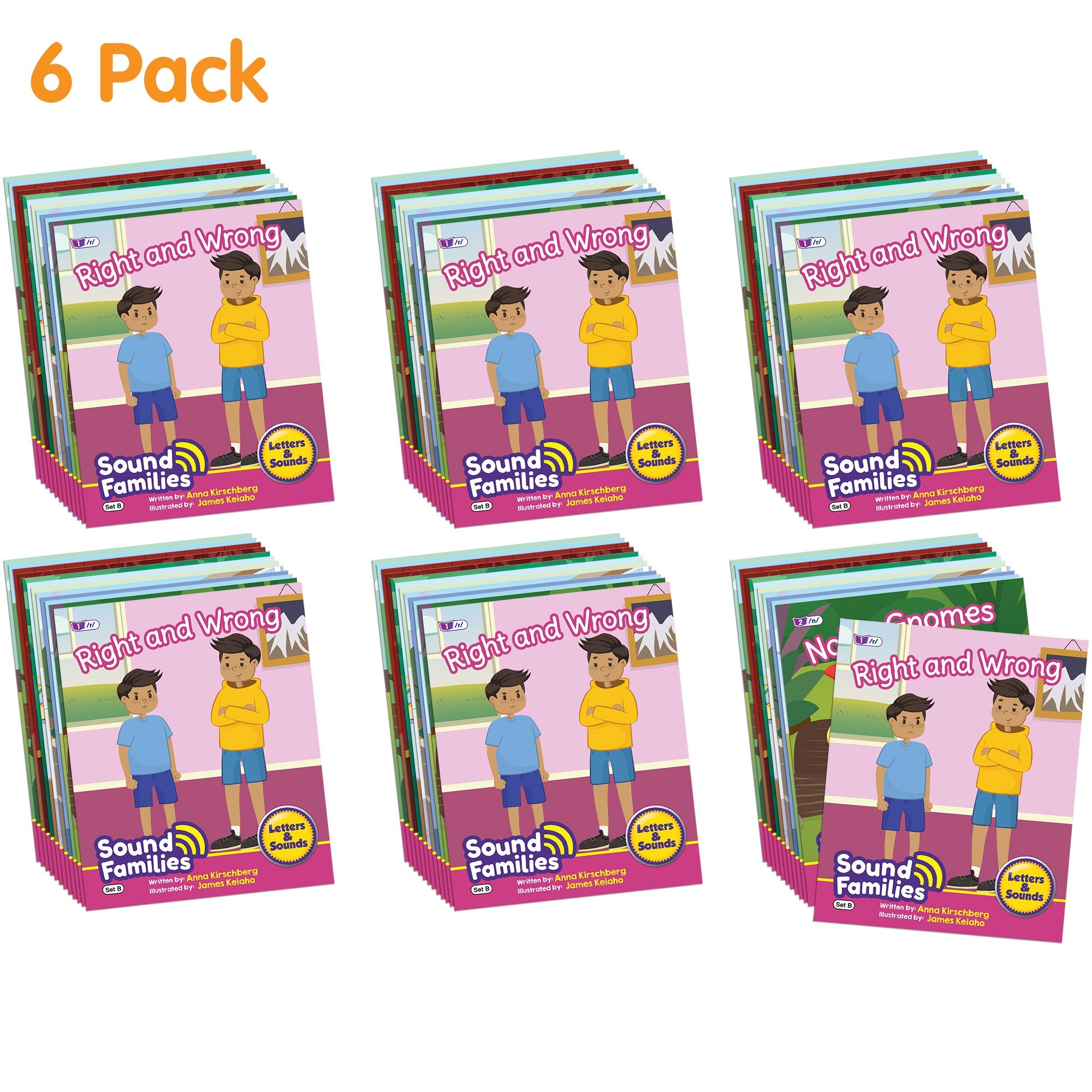 Sound Families Consonants Fiction Phase 5.5 - 6 Pack