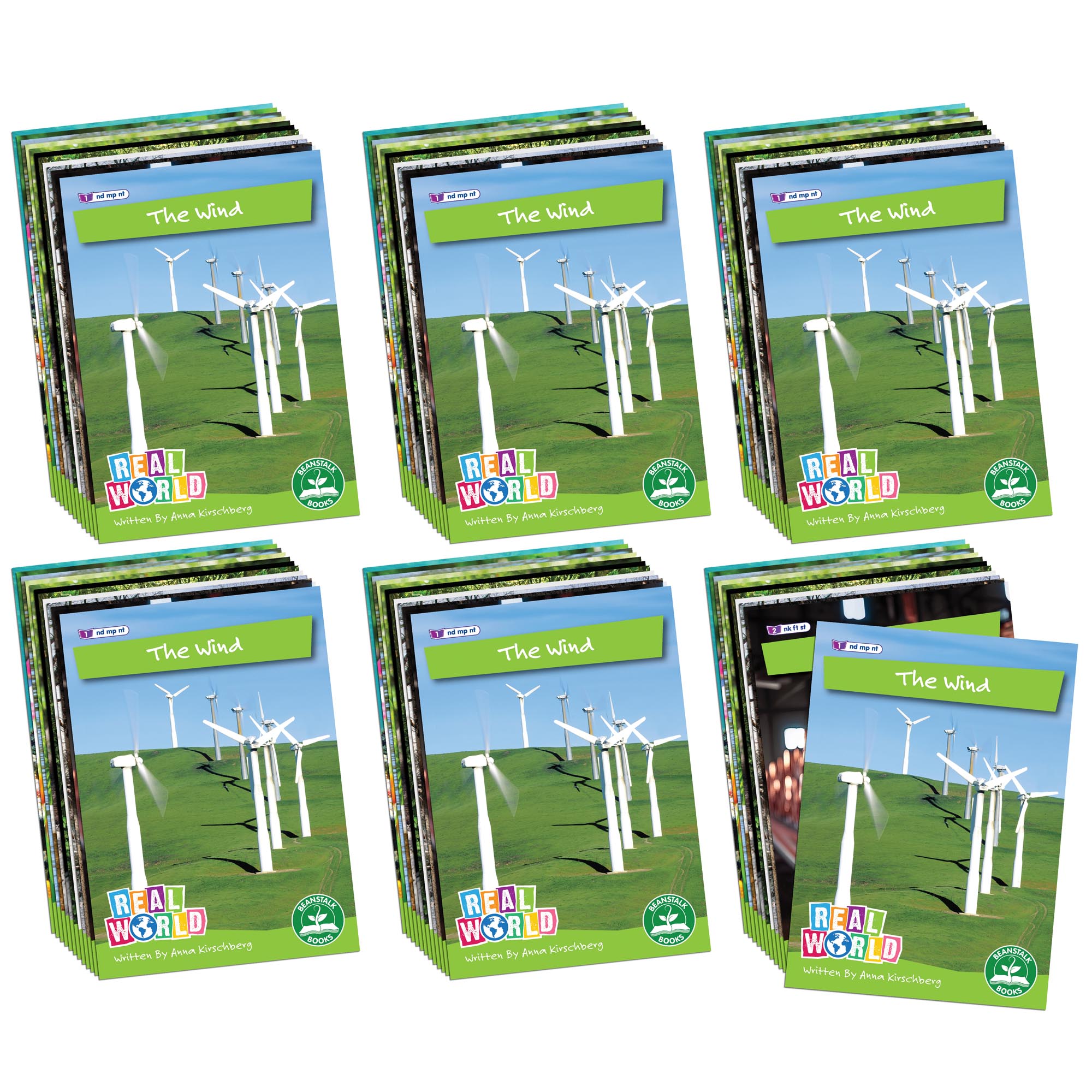 Real World Non-fiction Hi-lo Decodables Phase 4 - 6 Pack