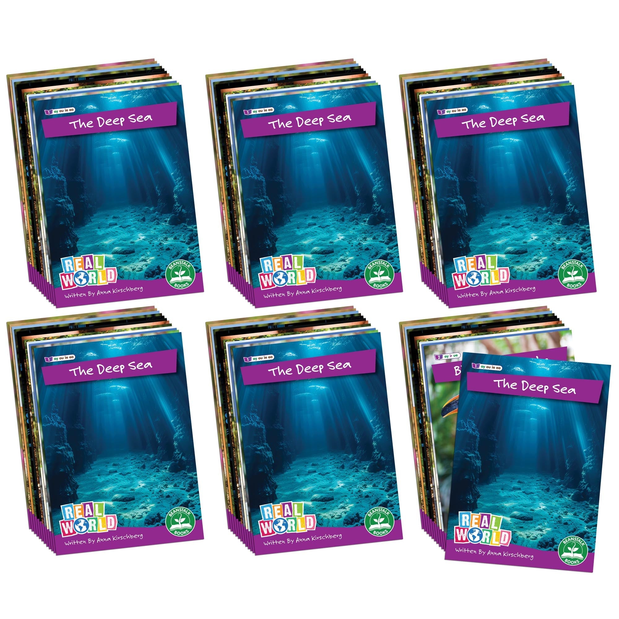 Real World Non-fiction Hi-lo Decodables Phase 5 - 6 Pack