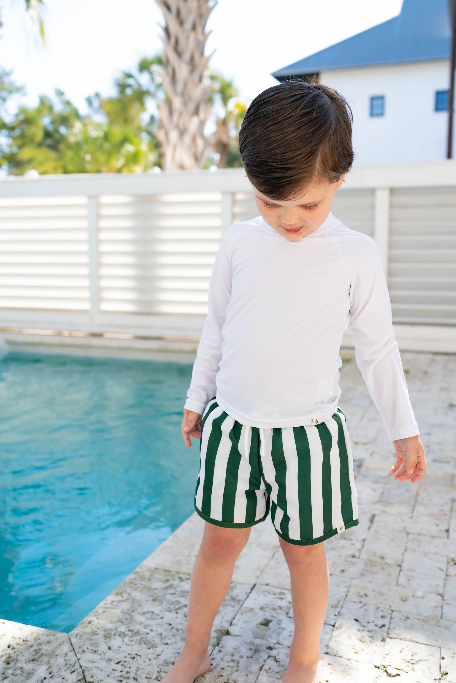 Green Stripe Swim Shorts