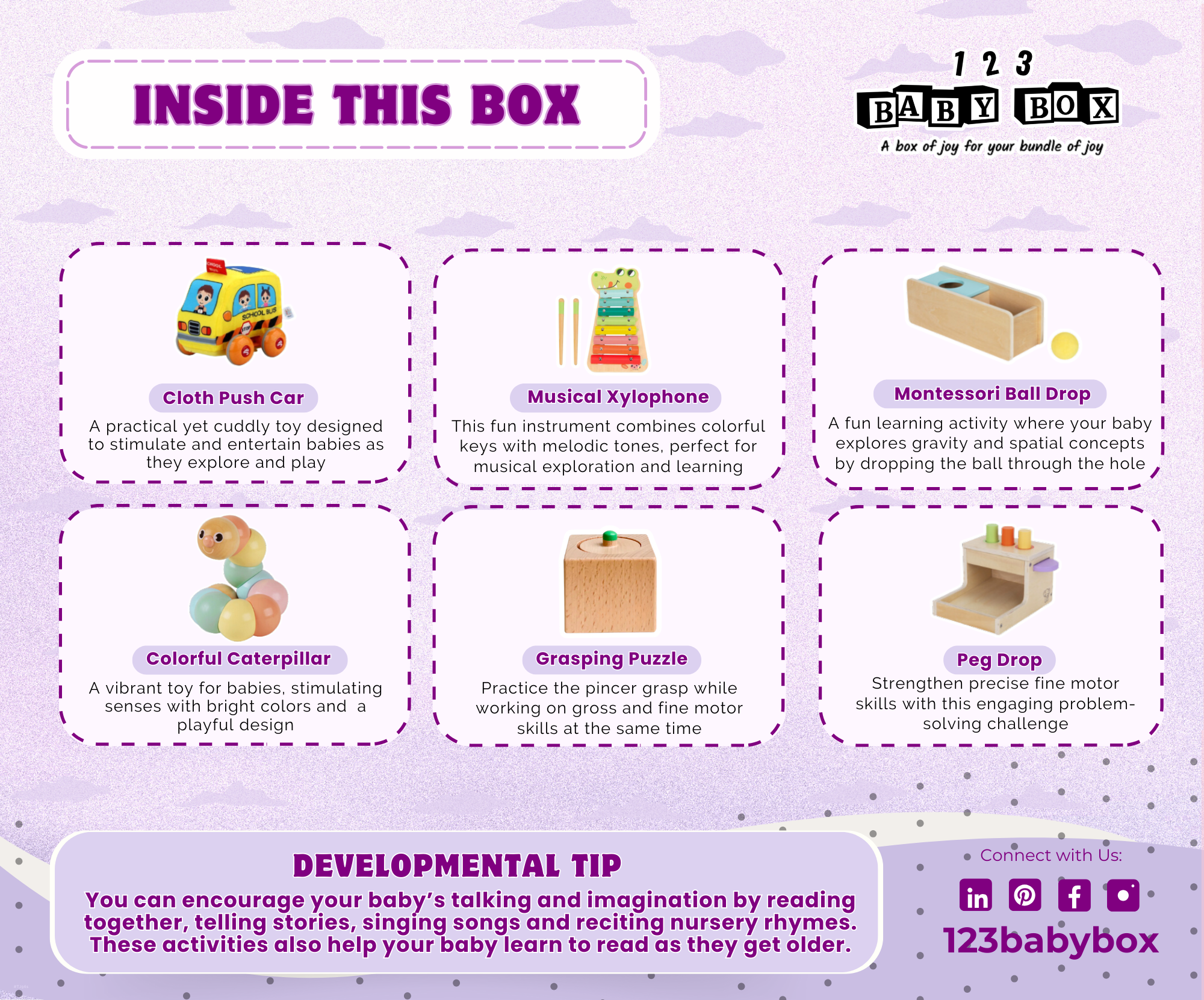 Montessori Educational Box (11-12 Months)