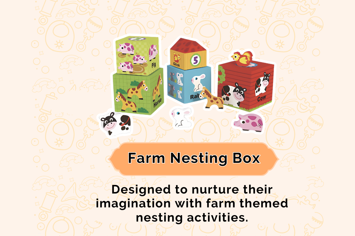 Montessori Educational Box (13-15 Months)