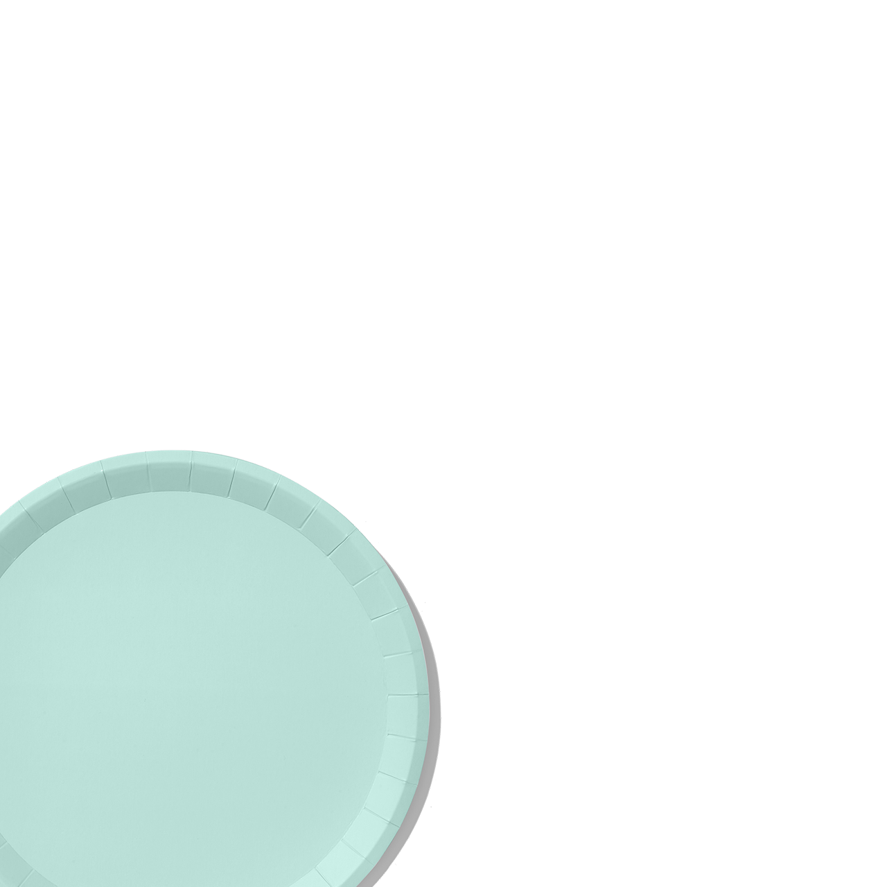 Mint Classic Large Plates (10 Per Pack)