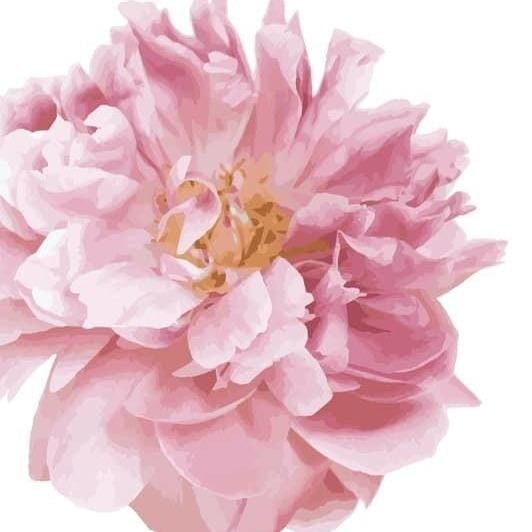 Beautiful Peony Garden Flower Pack Wall Decals