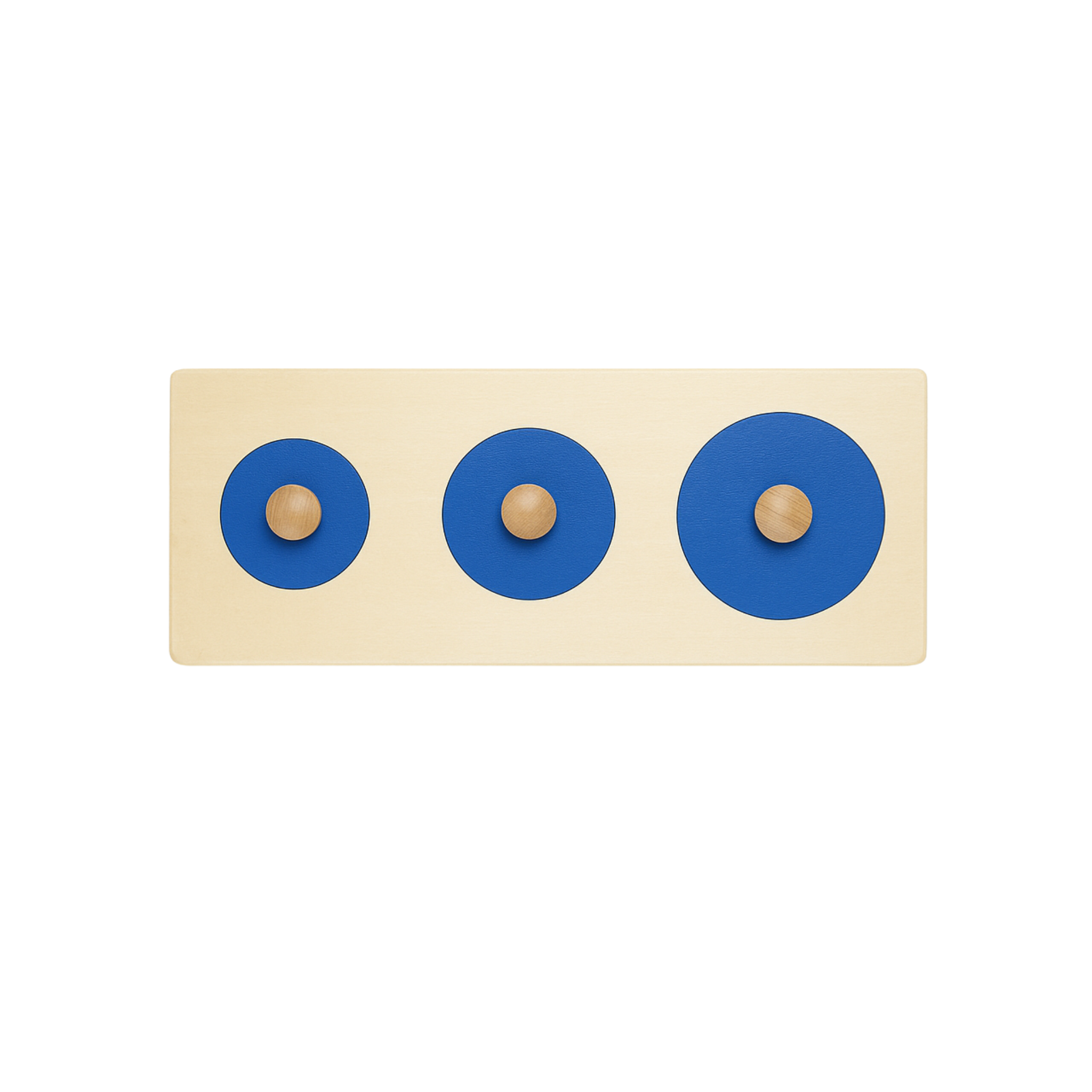 Blue Circle Puzzle