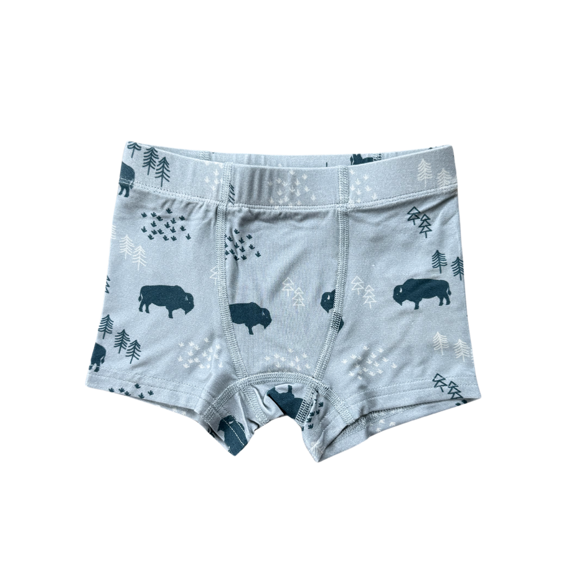 Boy's Boxer