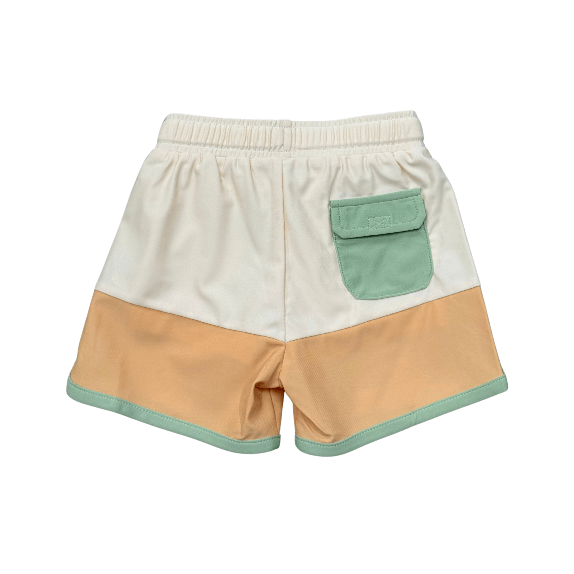 Boy's Colorblock Swim Shorts